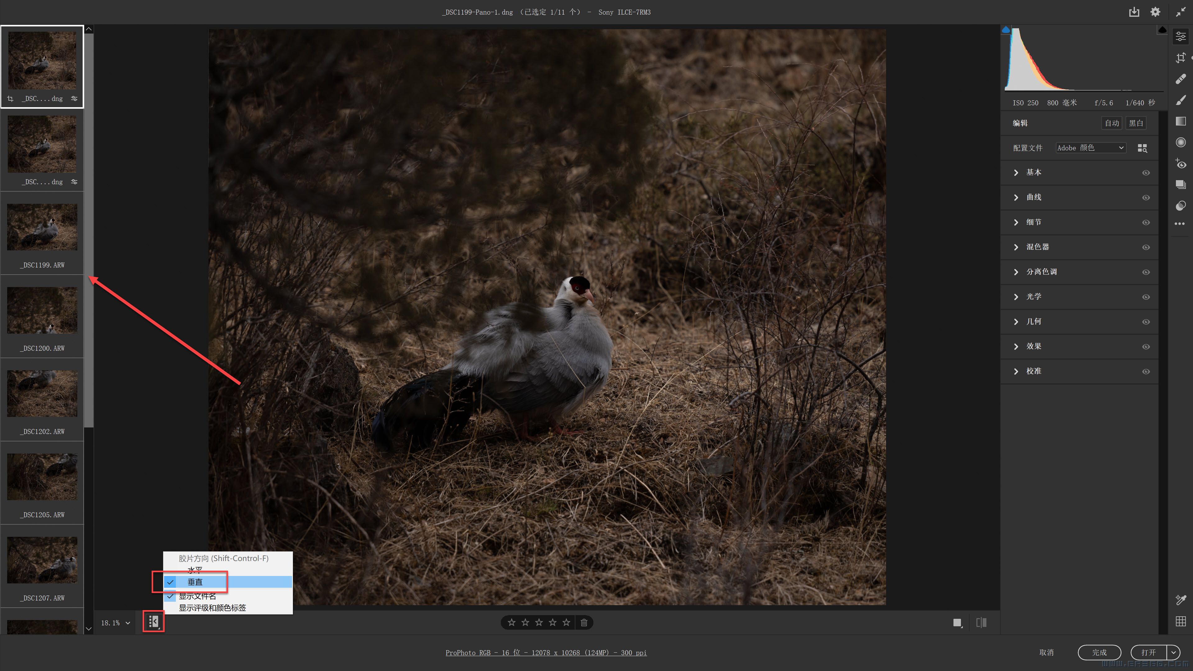03 胶片栏摆放位置-垂直（预览图左侧垂直）.jpg
