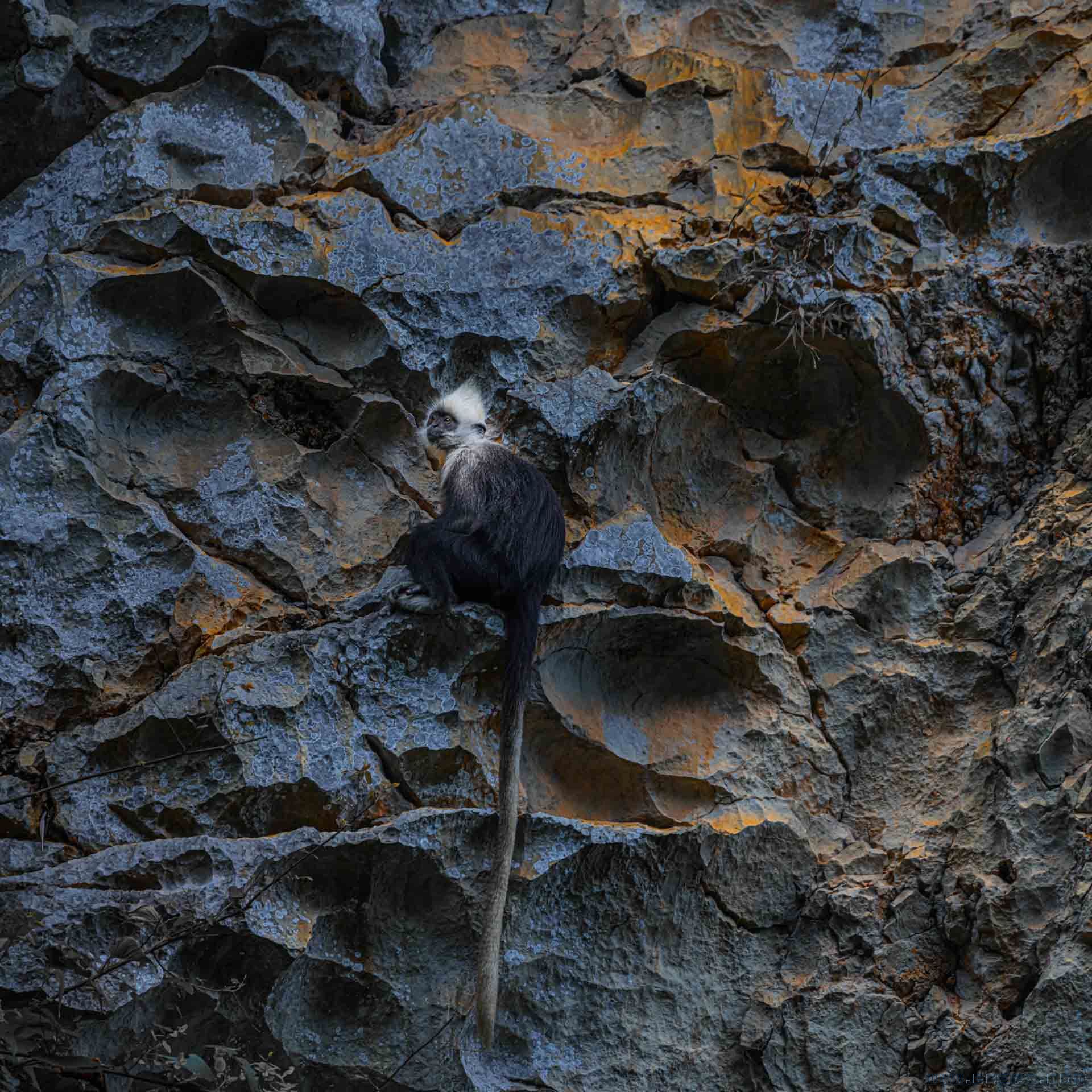 _dsc7894+7897+7901-pano s.jpg