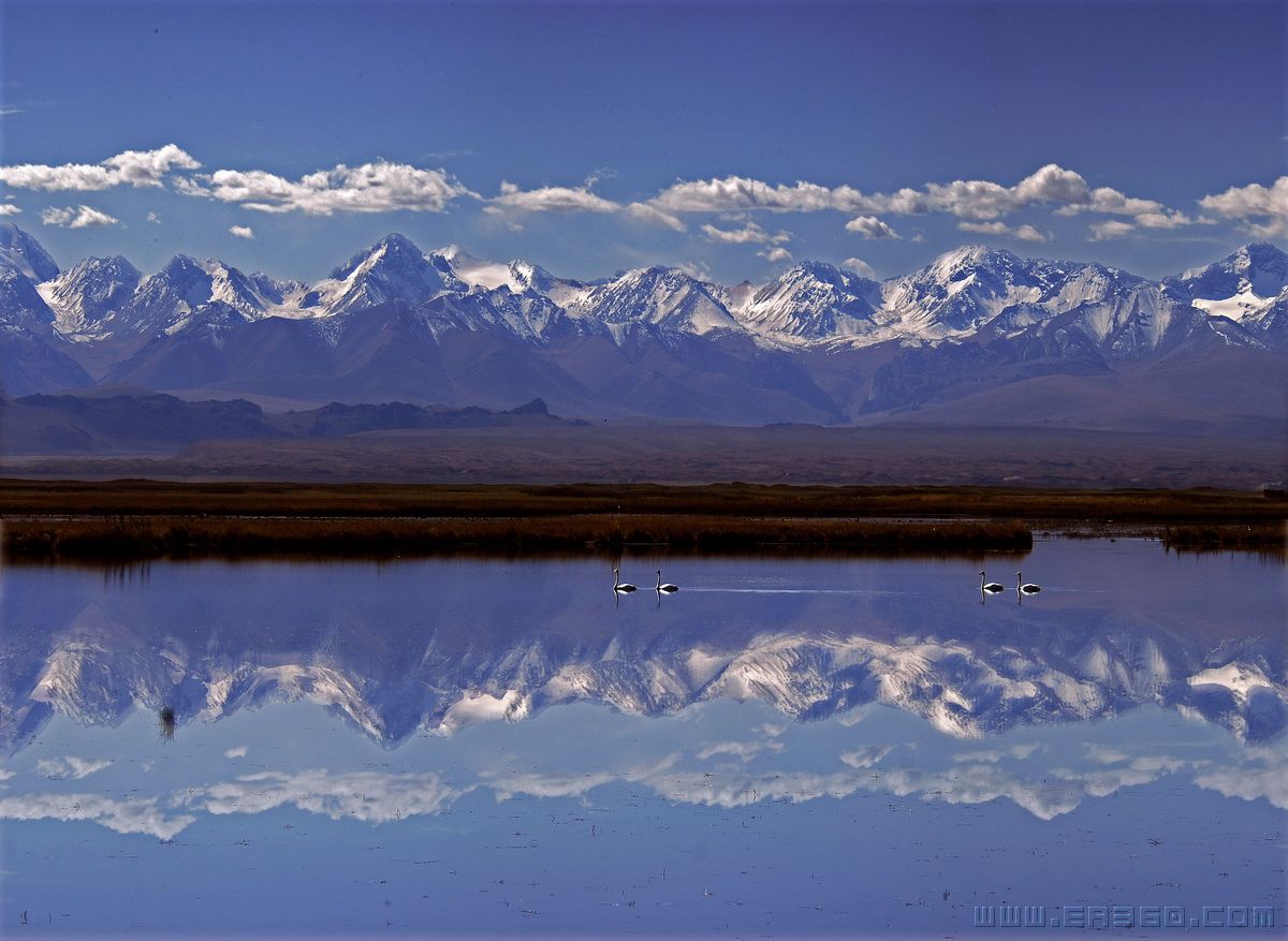 天山脚下  孙家勇  13840868026.jpg