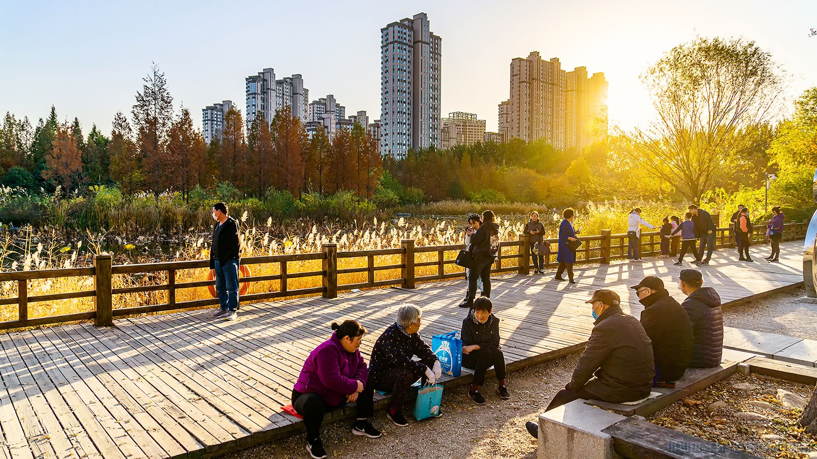 《森林公园》-刘娇月18366658292 (2).jpg