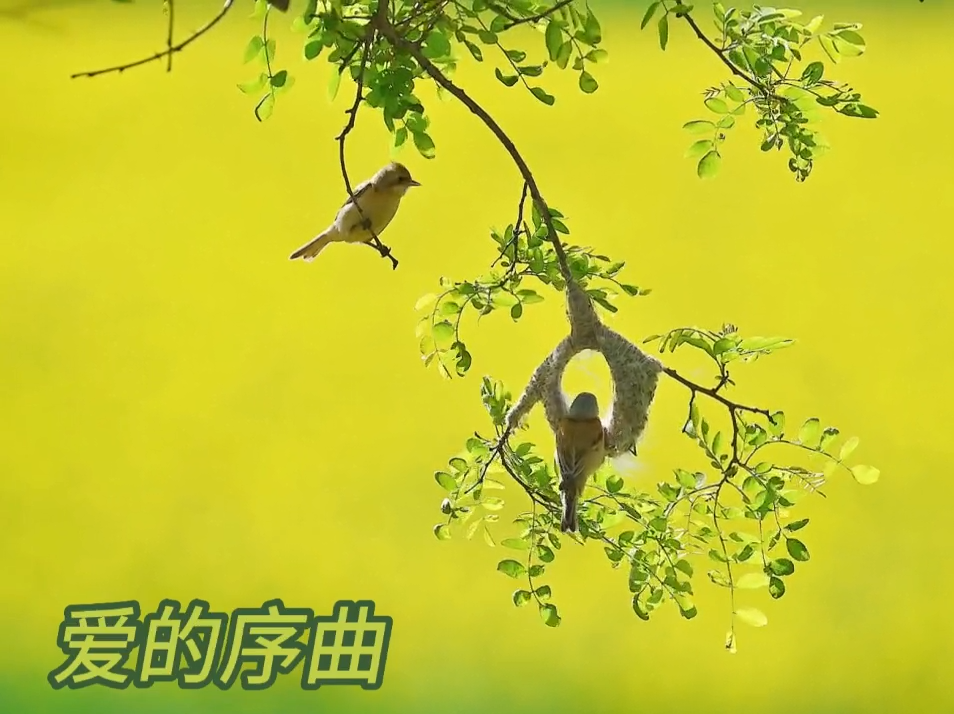 屏幕截图 2023-09-02 212931.png