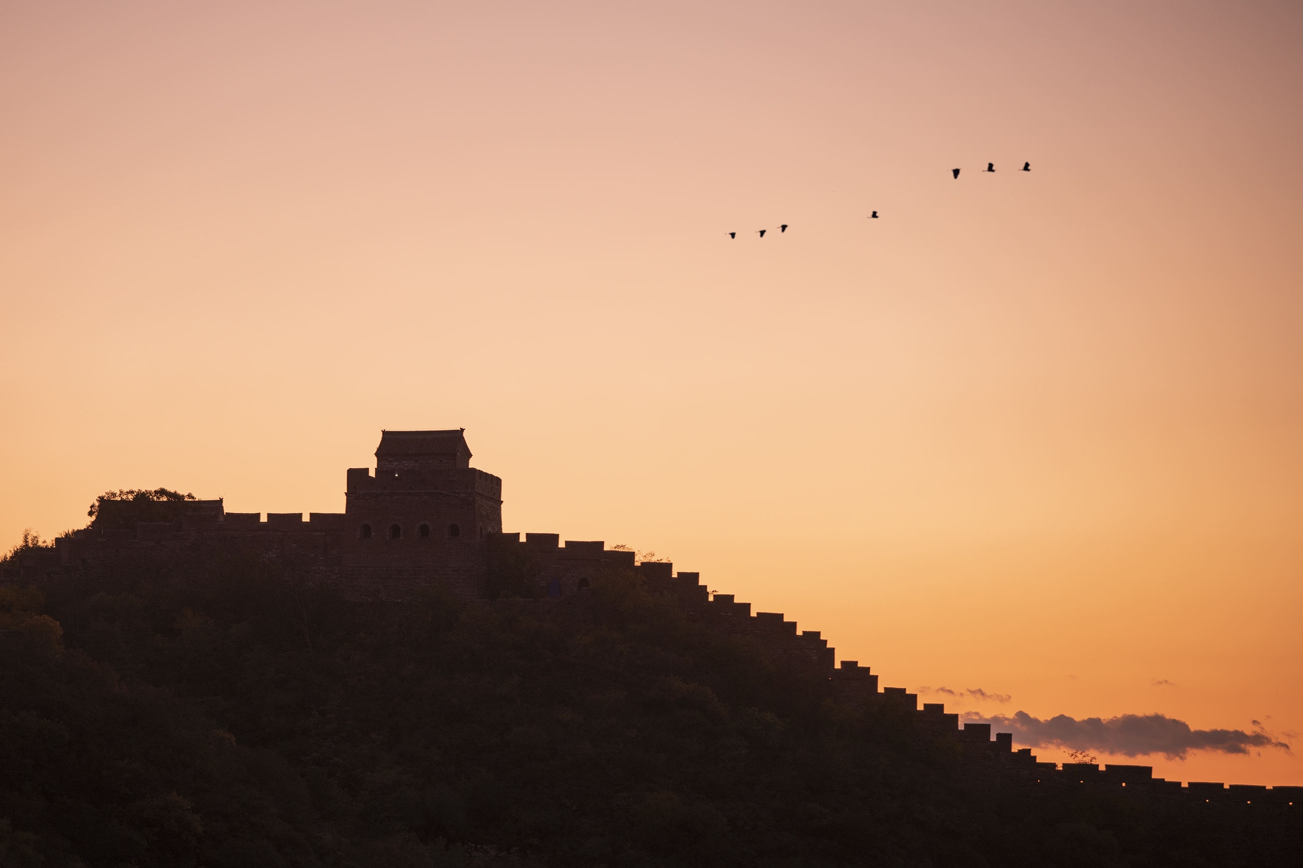 《日暮雁鸣归》