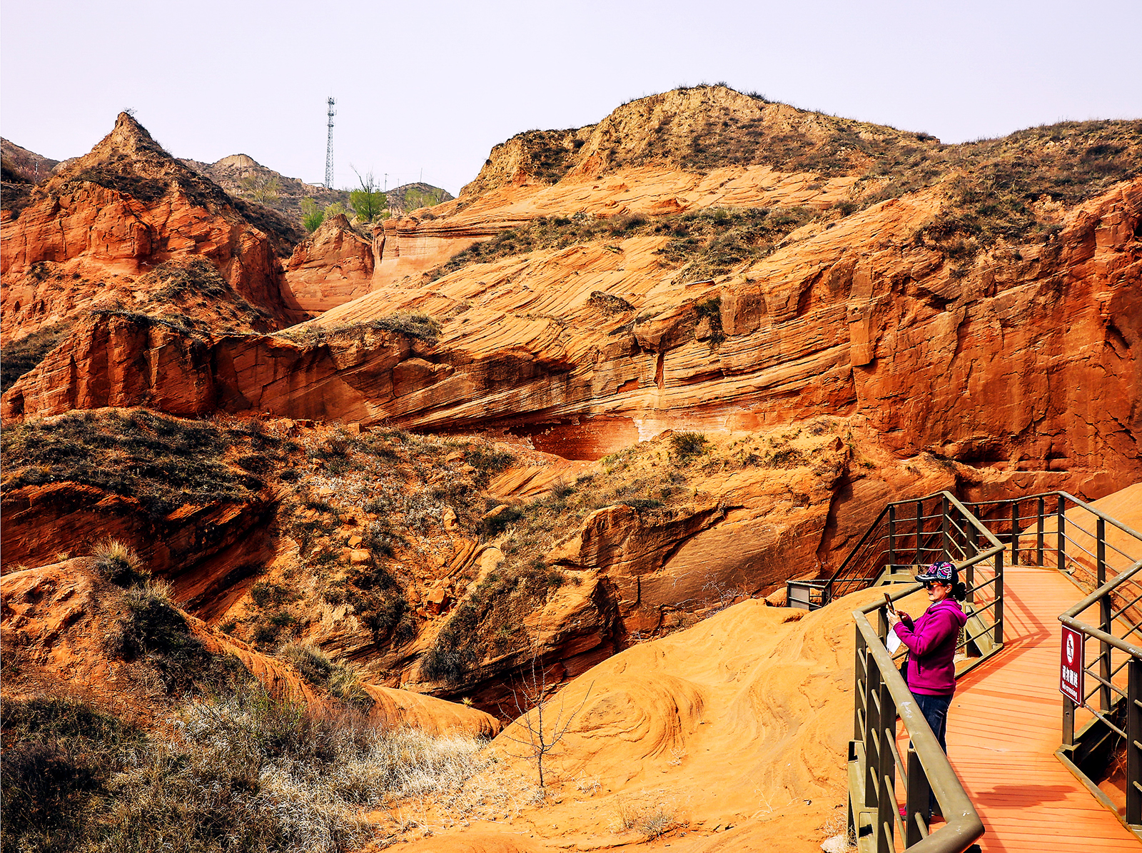 IMG_9003=1  1 《靖边波浪谷》作者  王振庆  摄于2023.04.10.jpg