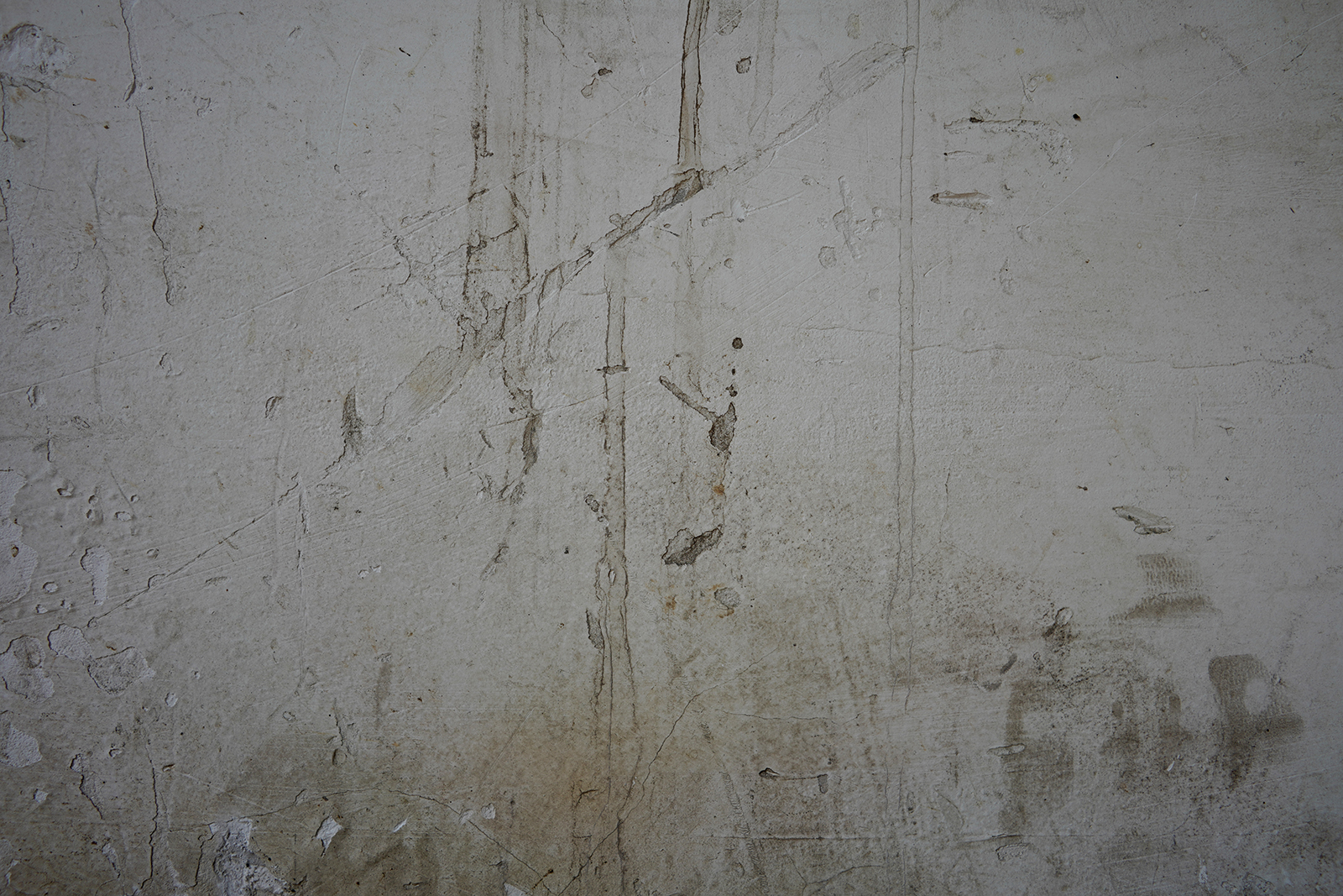 DSC00282 拷贝副本.jpg