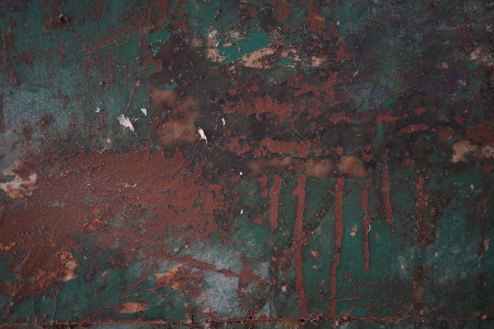 DSC00331 拷贝副本.jpg