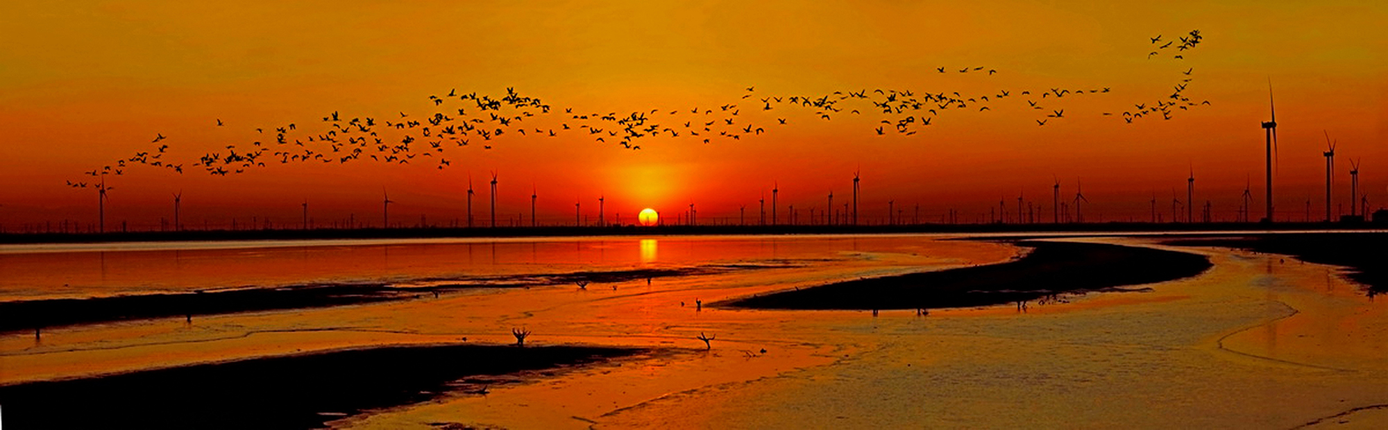 10，一路风光 一路豪歌 孙家勇 2013年 摄于黄河故道  13840868026   .jpg