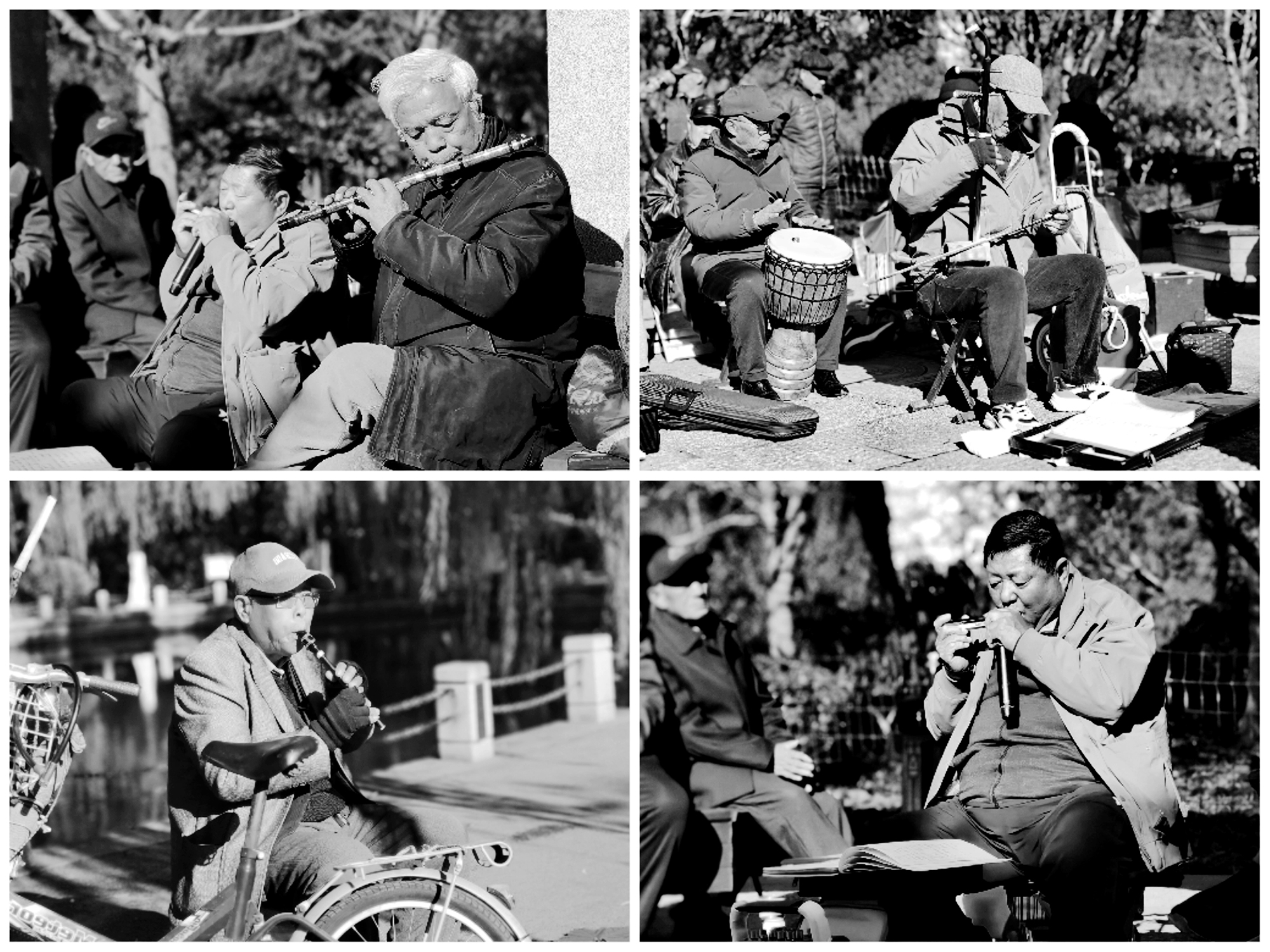 (各有所长) 黄山 158 6677 5906 -.jpg