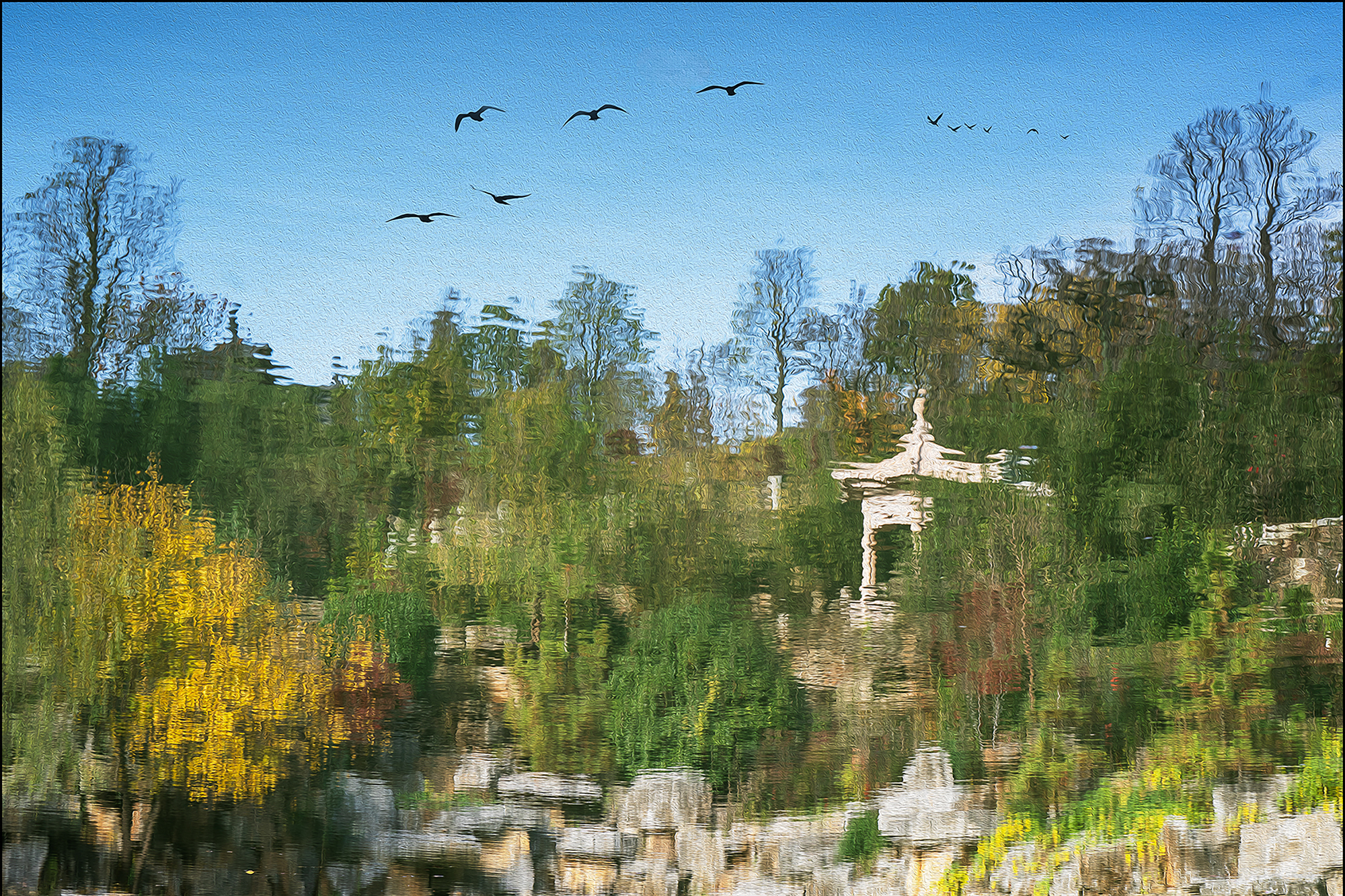 《秋韵》-2 摄影  陈玉萍  13969413386.jpg