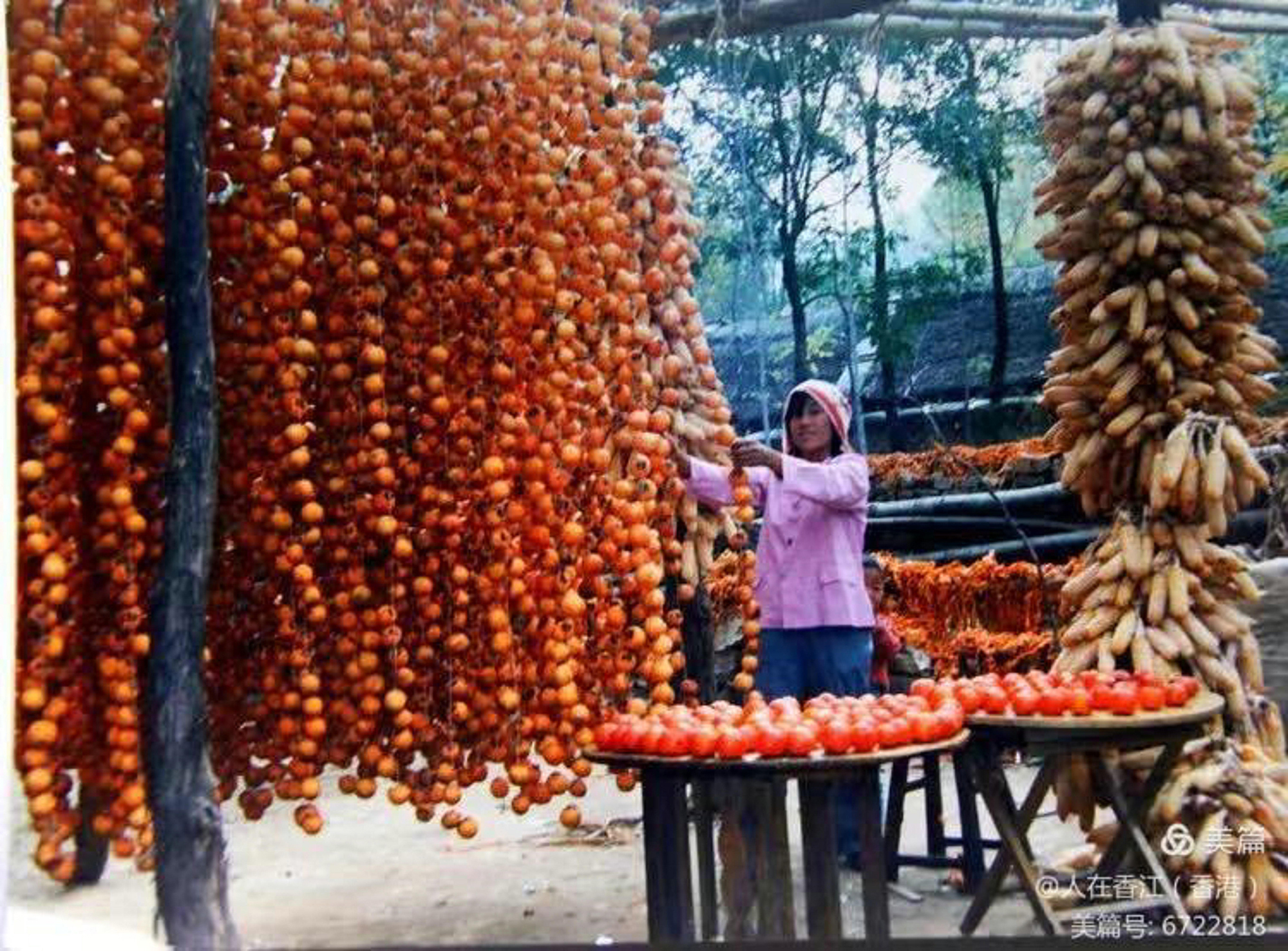 丰收时节 李年令 13964008868.jpg