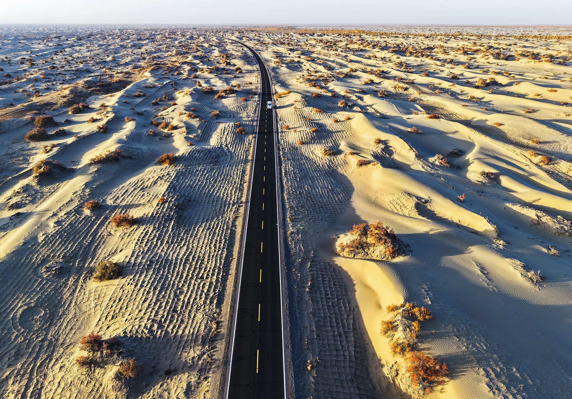 《追踪大漠深处的胡杨树》马丽 13708937915 (1).JPG