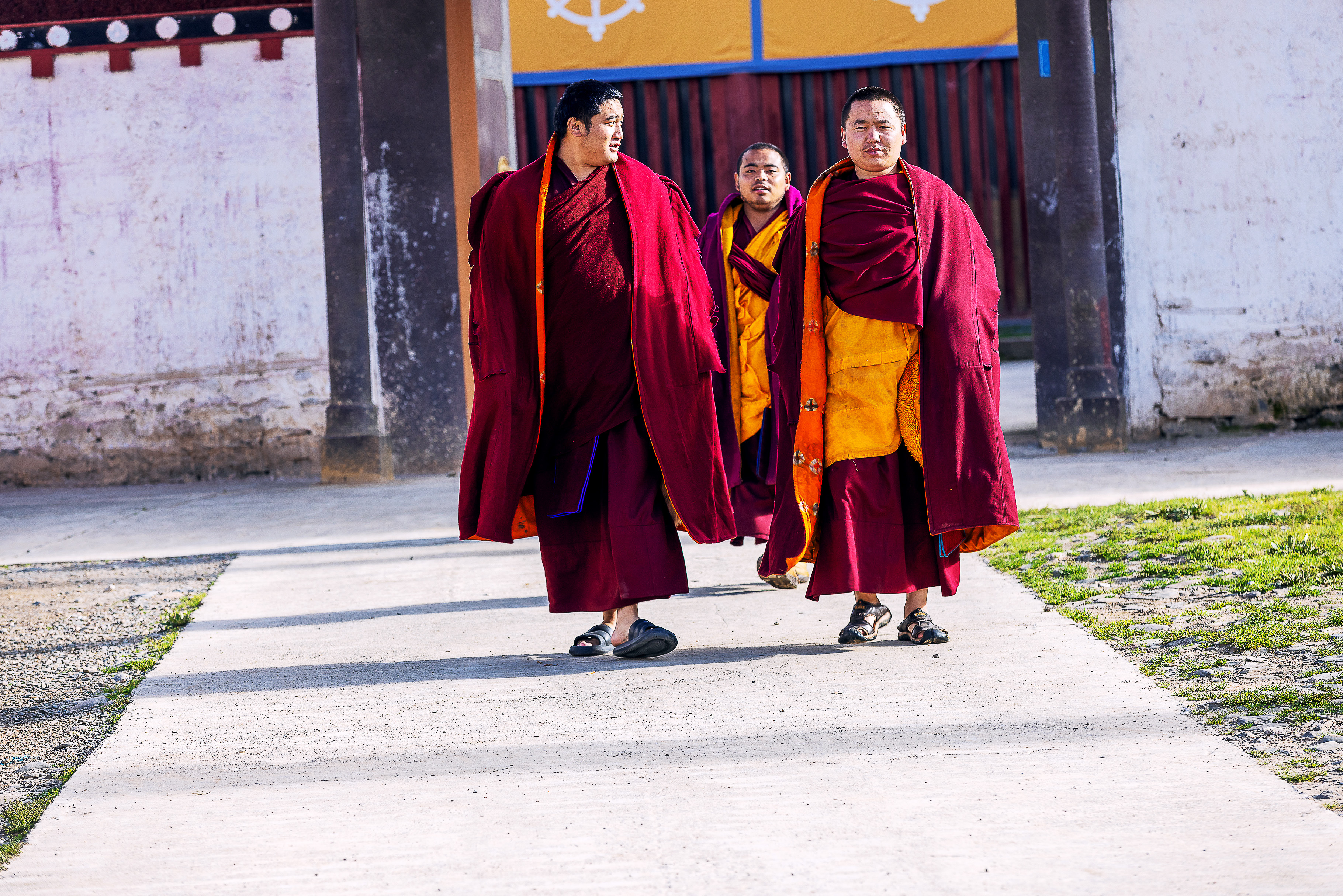 1Y3A5556 2     《  高原修行者光影》                     作者  王振庆.jpg