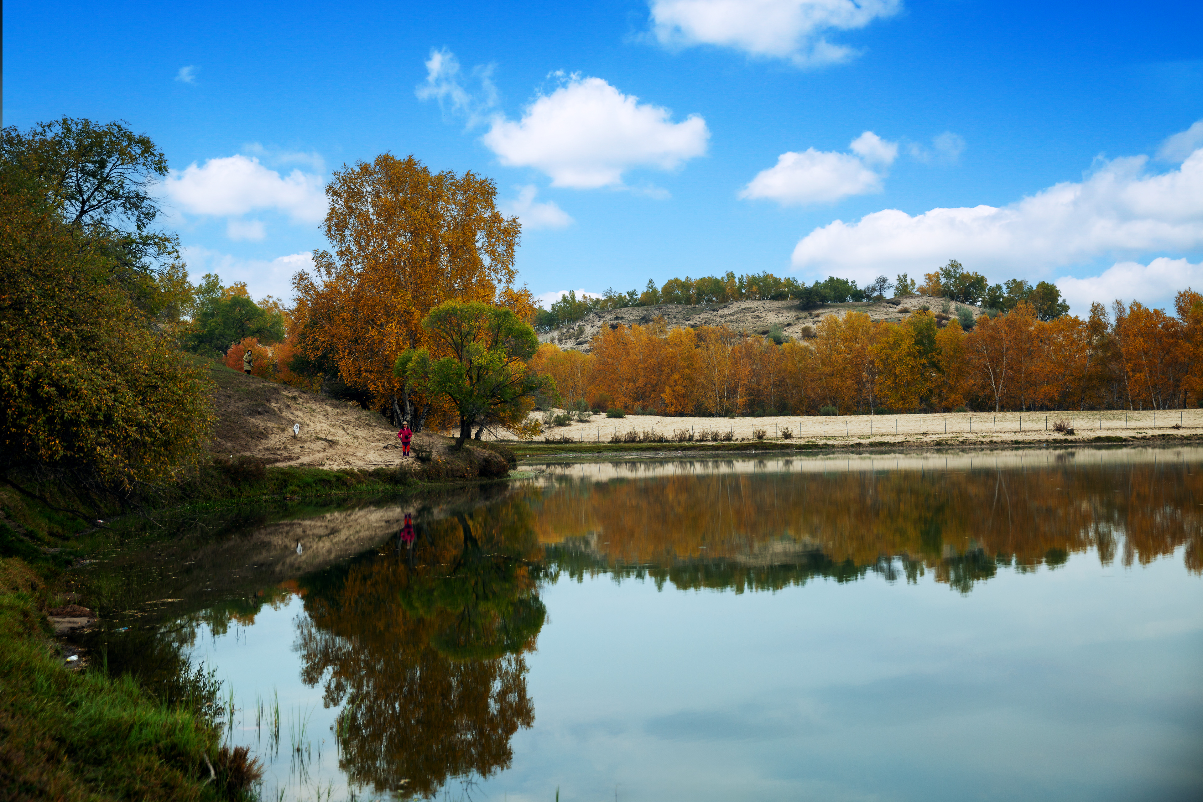 _J8A9995 2  《公主湖秋色》  作者  王振庆.jpg