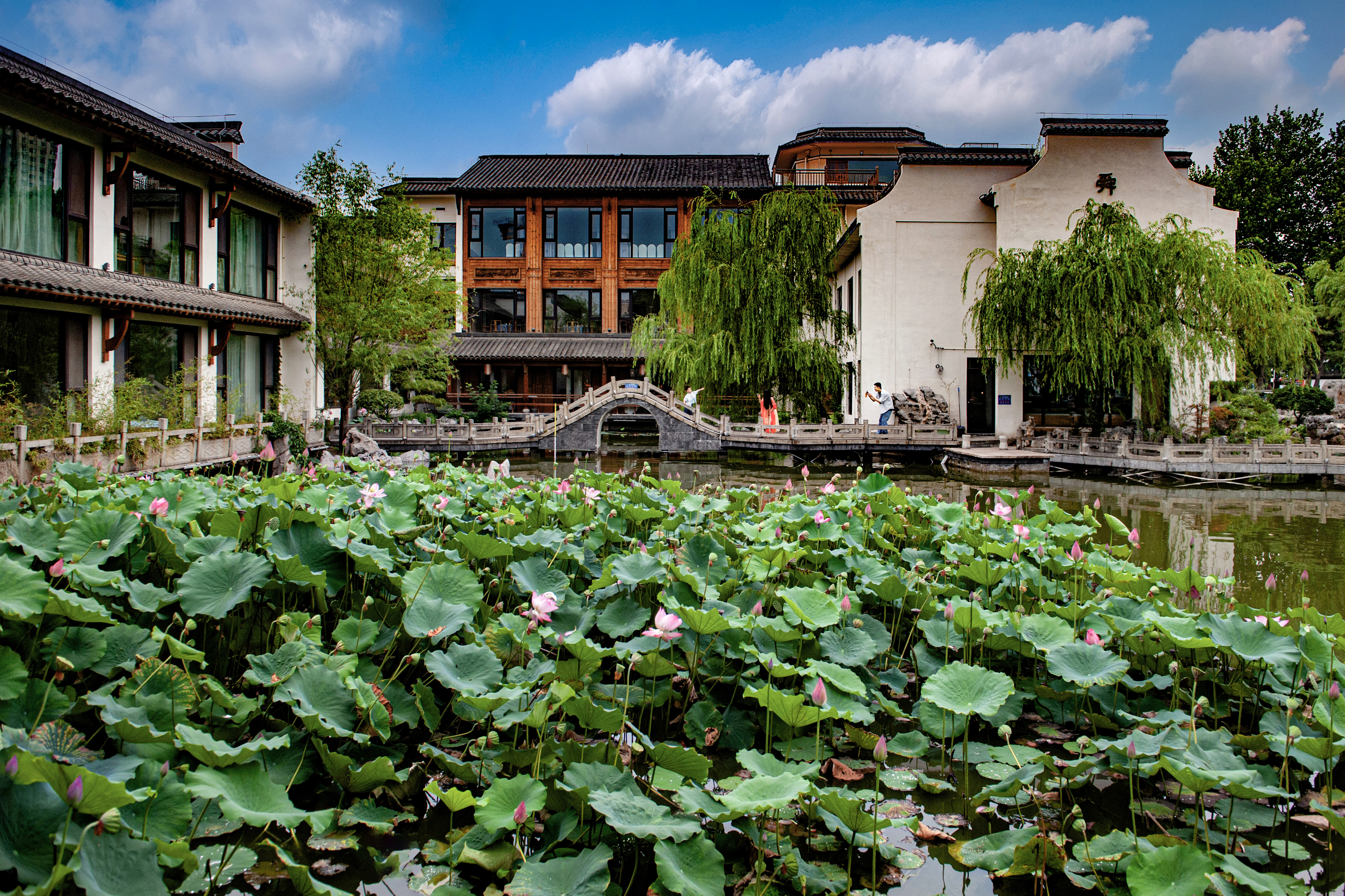 《徜徉打卡地》 黄柳瑜.jpg