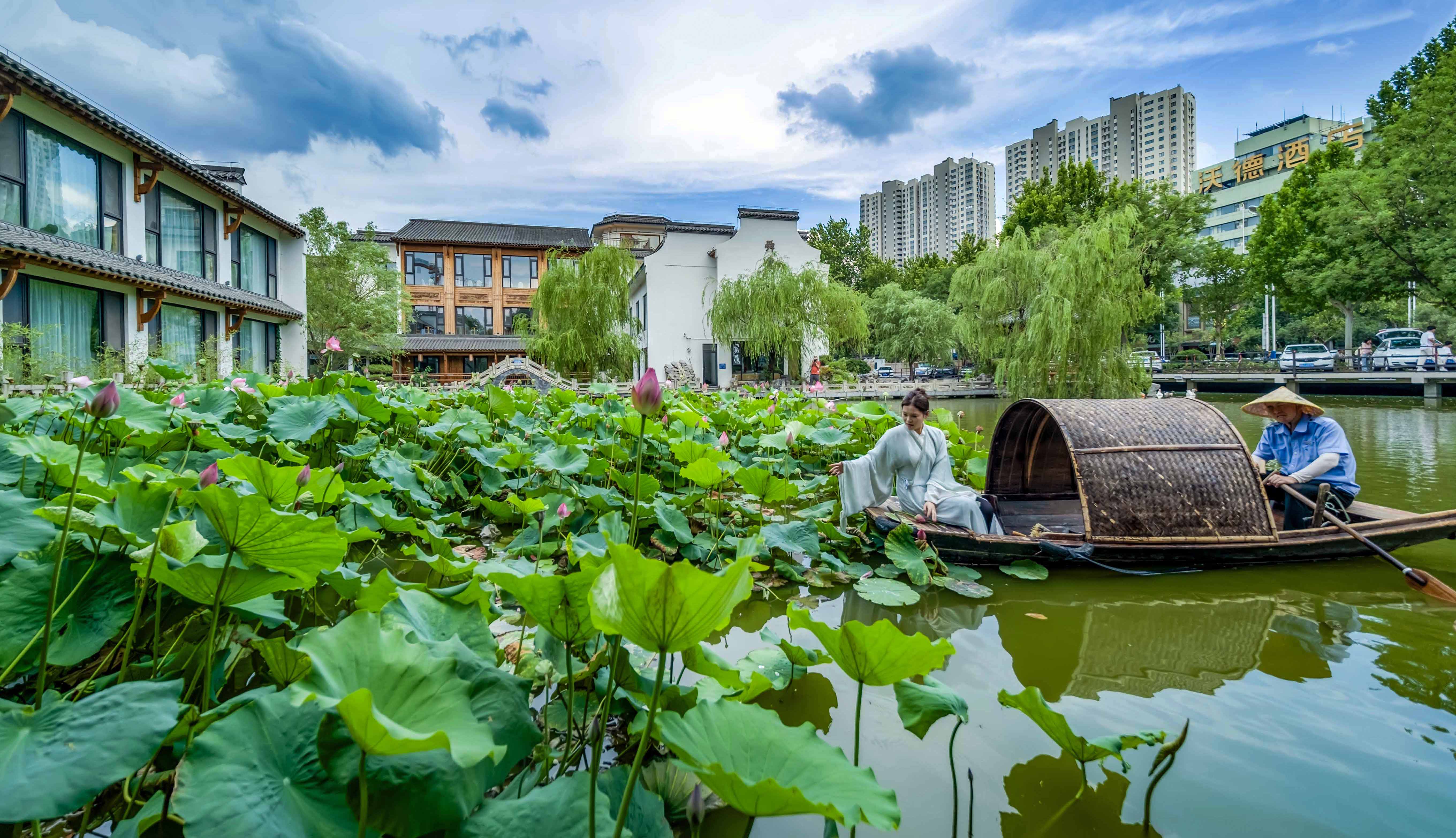 《连池古意》 宋懿龙.jpg