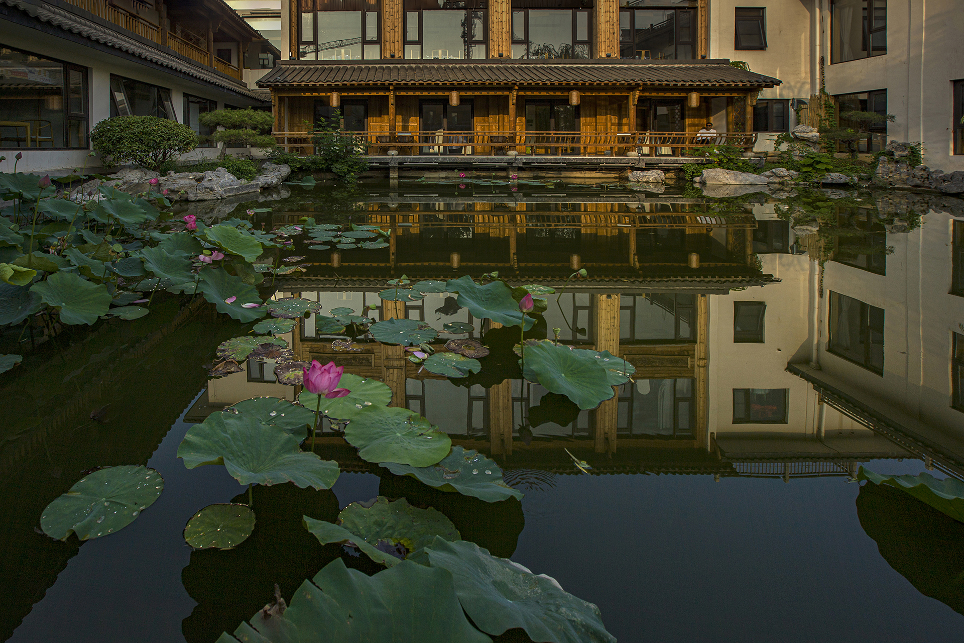 《水上舜庐 - 静怡荷塘》 衣建东.jpg