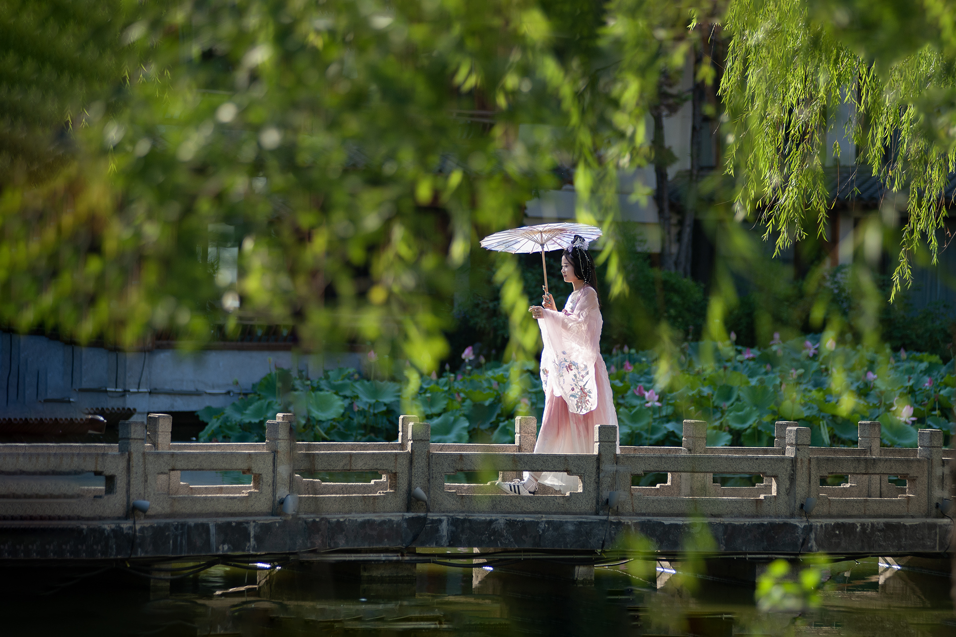 《舜庐漫步》 陈晨.jpg