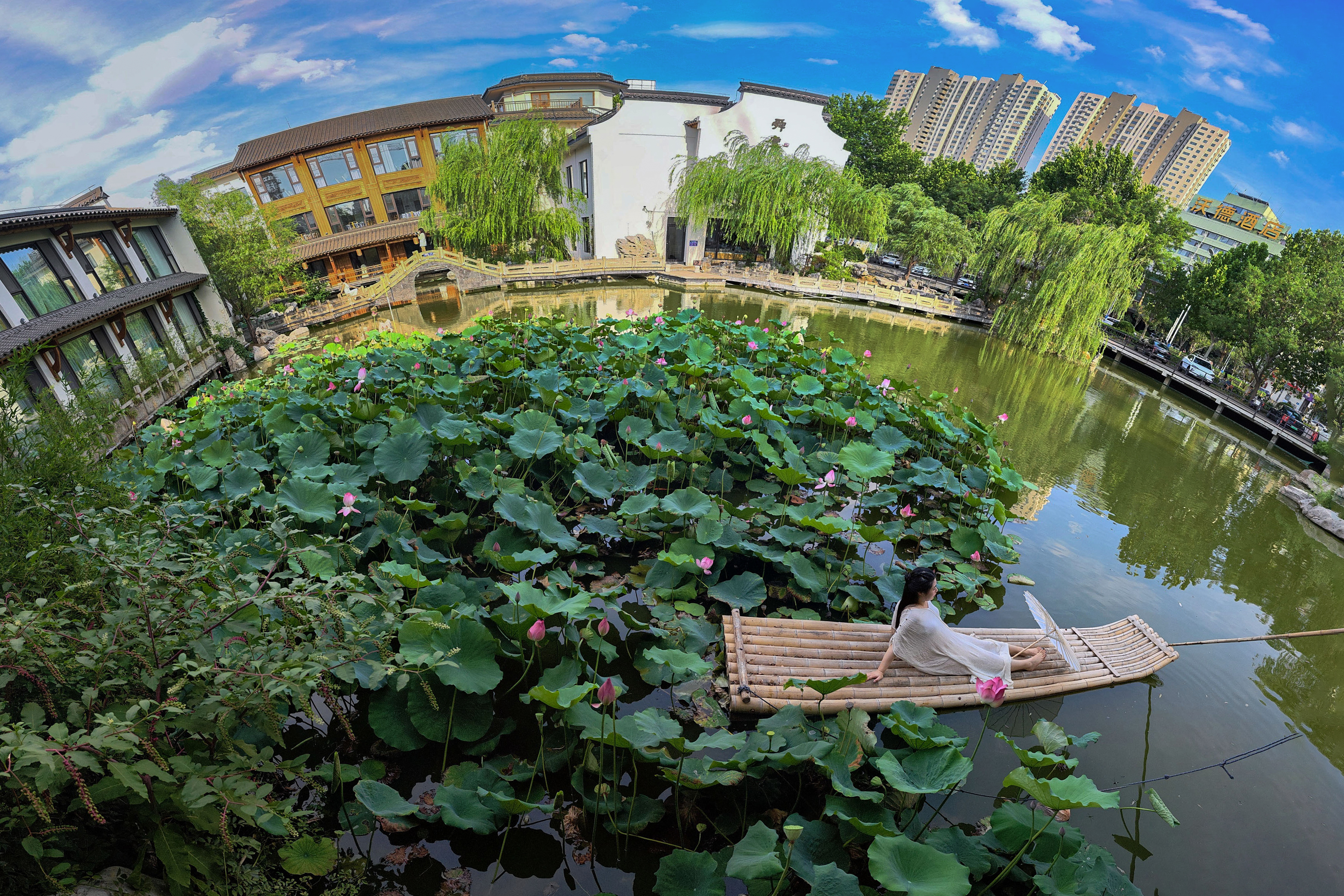 《一池清荷映舜庐》 谷忠民.jpg