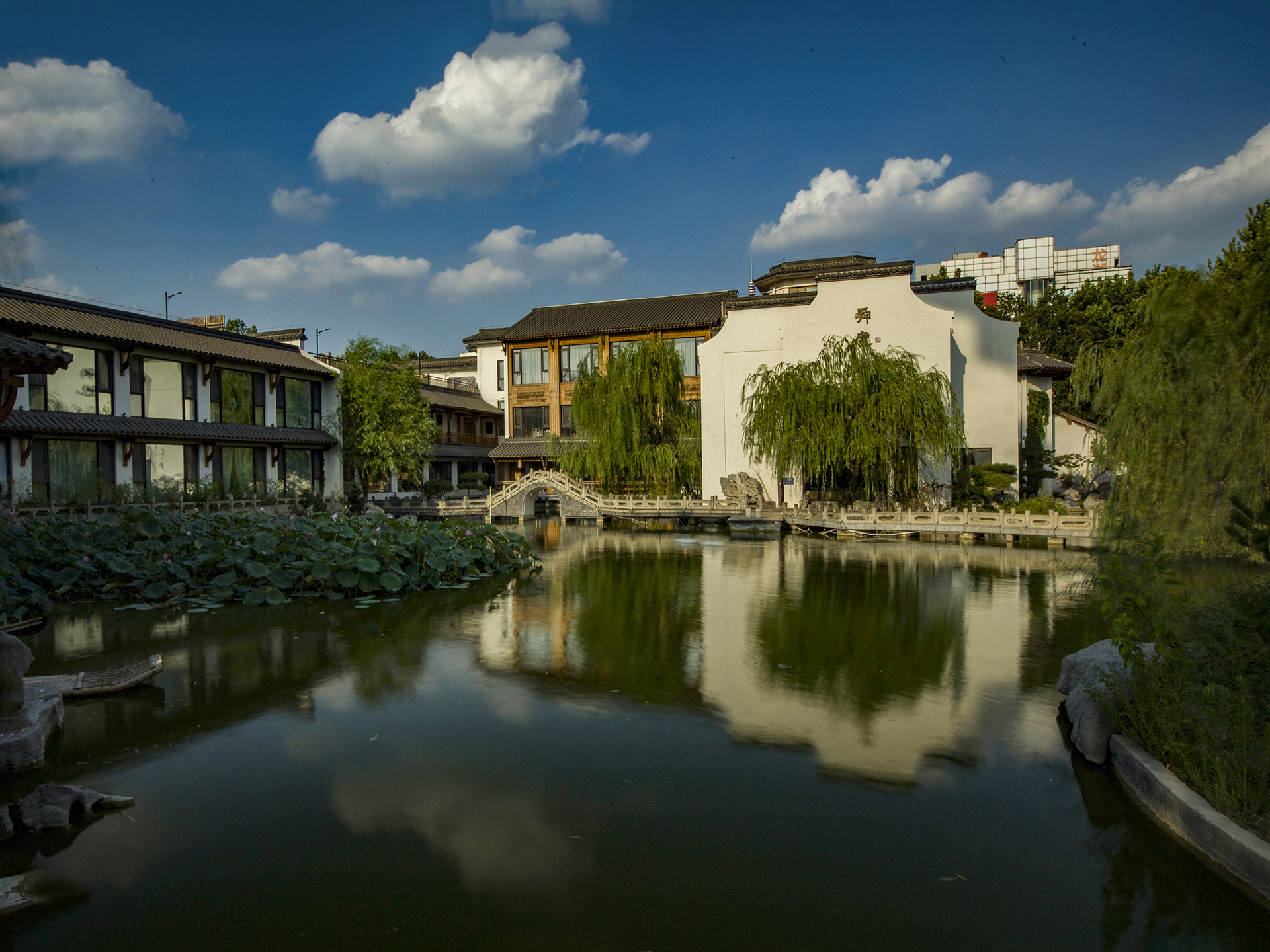《水上舜庐 - 夏日风景》 衣建东.jpg