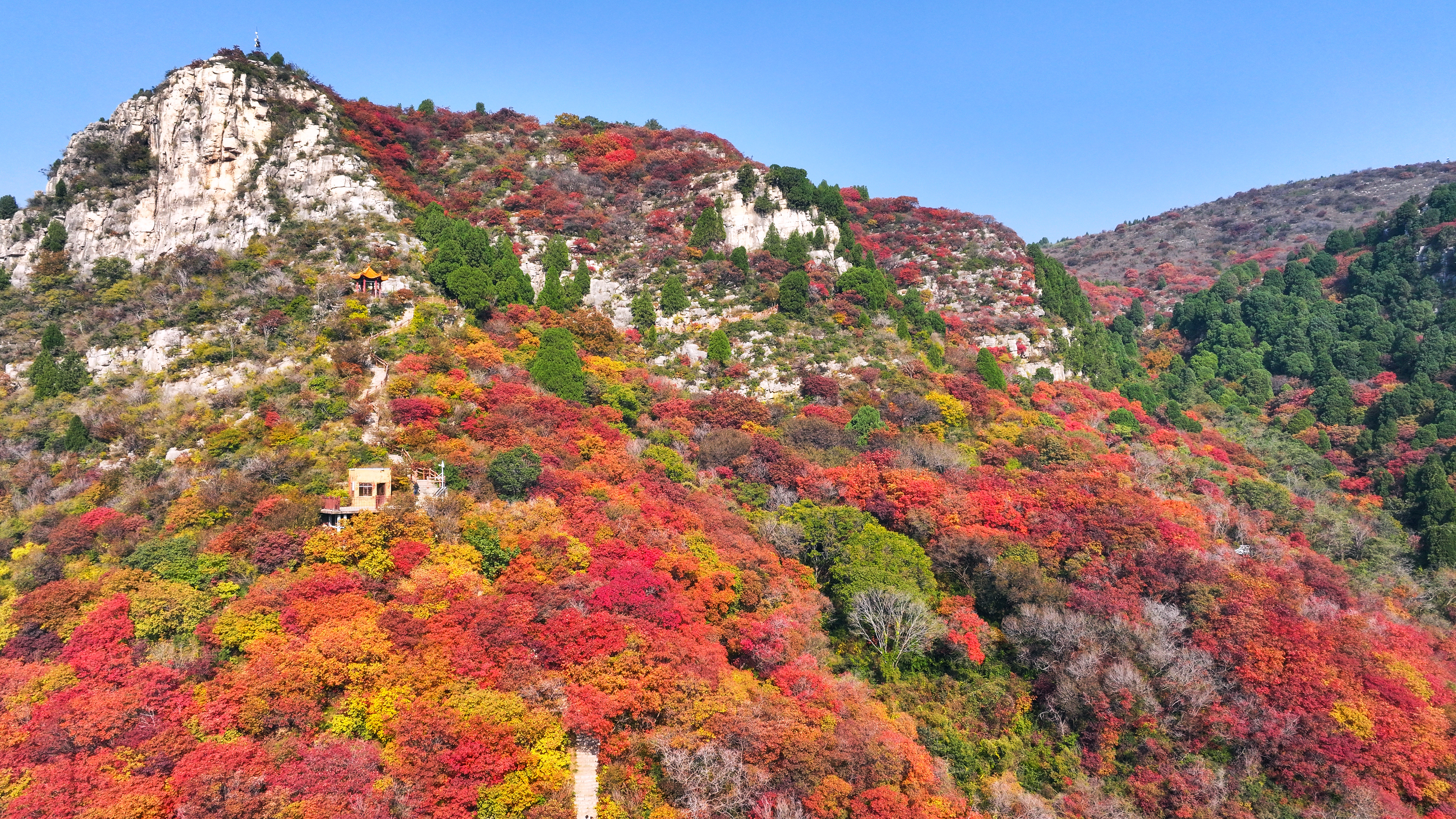 DJI_20251029094622_0065_D 1  《石门坊红叶》  作者  王振庆.jpg