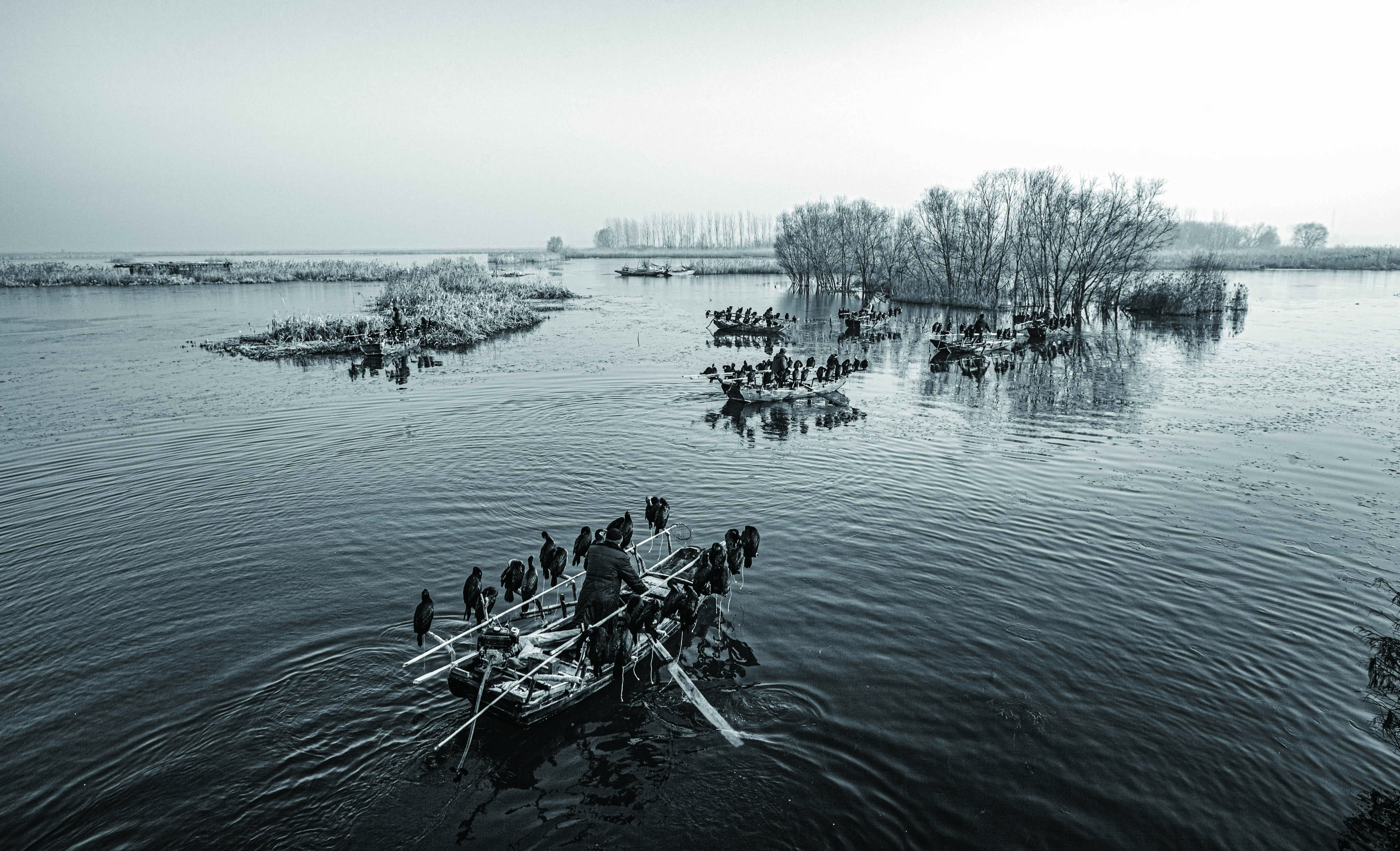 498、《扁舟载群禽》IMG_8758 拷贝--2.jpg