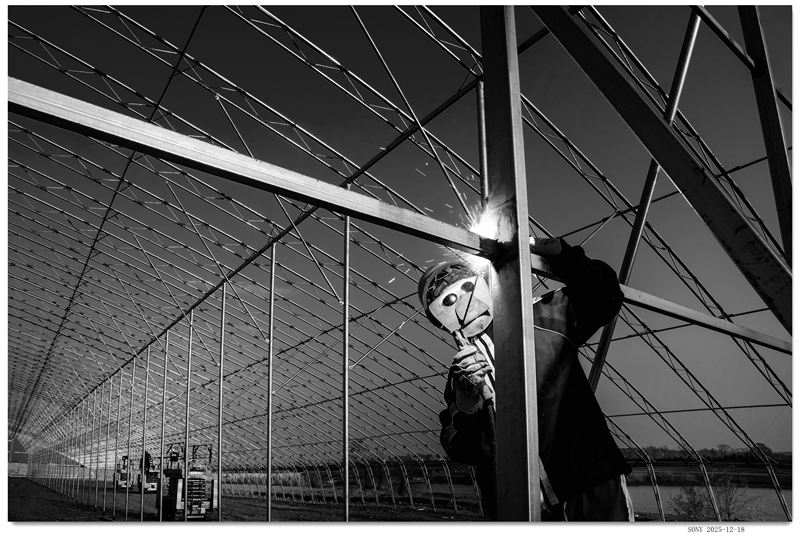 DSC09951 拷贝.jpgz_副本.jpg