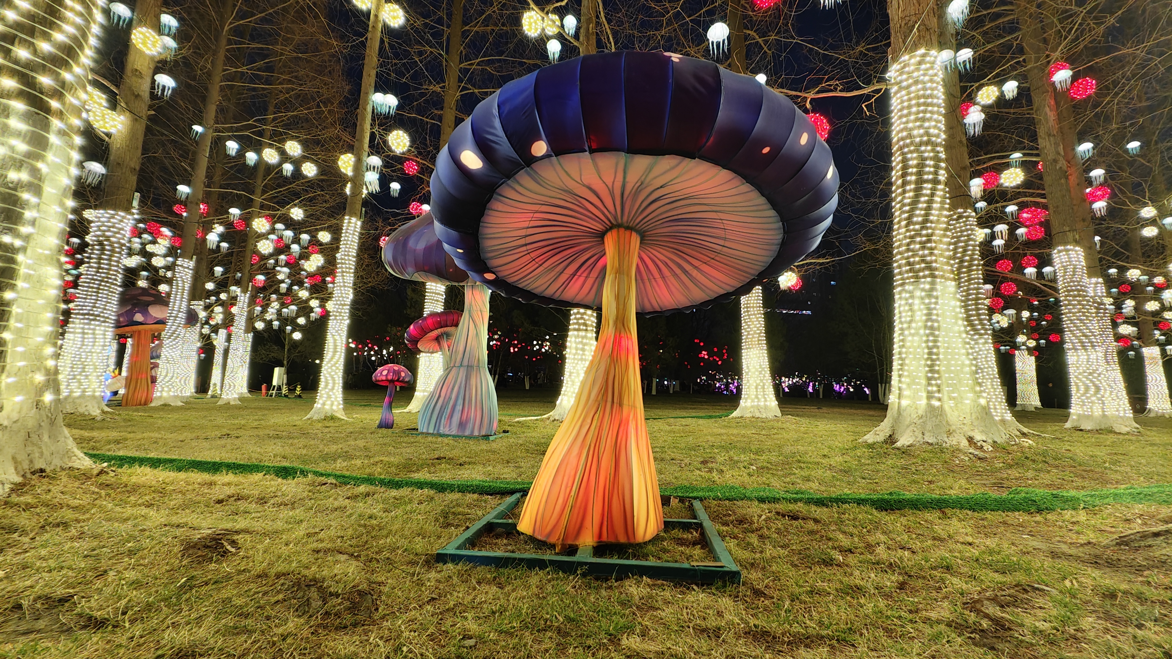 谷忠民 《五龙潭公园的童话世界》（组照） (5).jpg