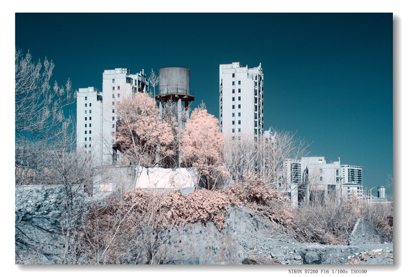 _DSC2645 拷贝_副本_副本.jpg