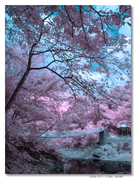 GEDC0189 拷贝_副本_副本.jpg