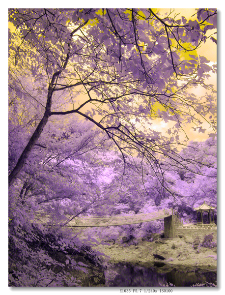 GEDC0189 拷贝.jpg3_副本_副本_副本.jpg