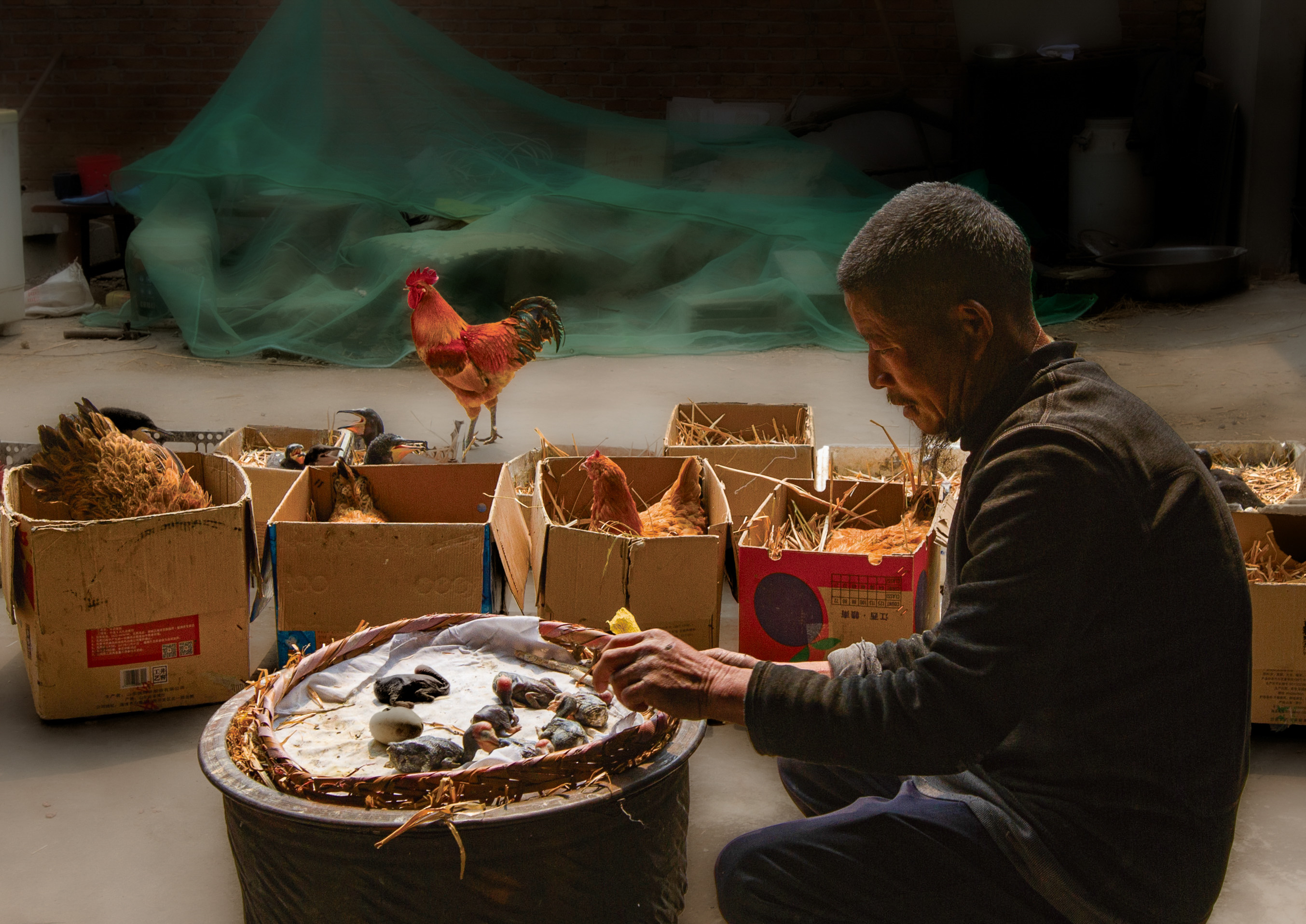 571、《盼新声》IMG_0948 副本.jpg