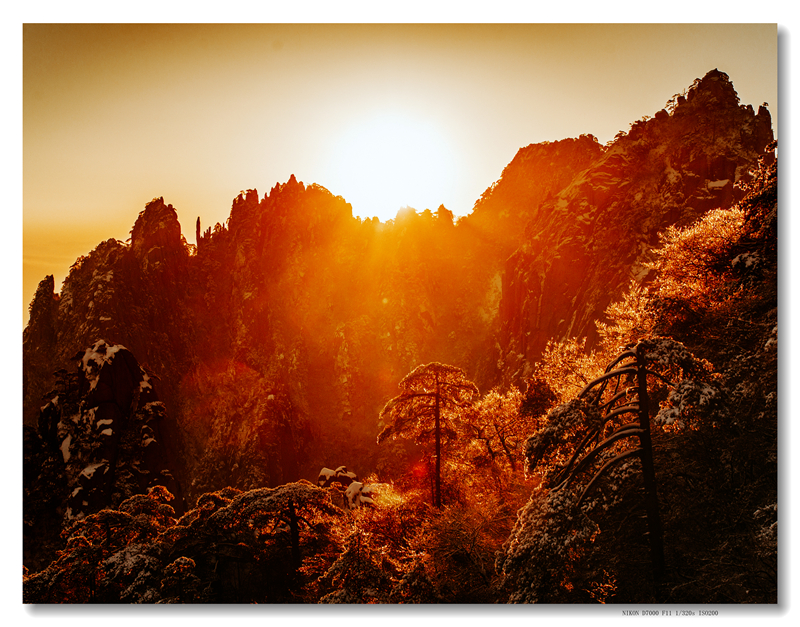 _DSC9209 拷贝_副本.jpg