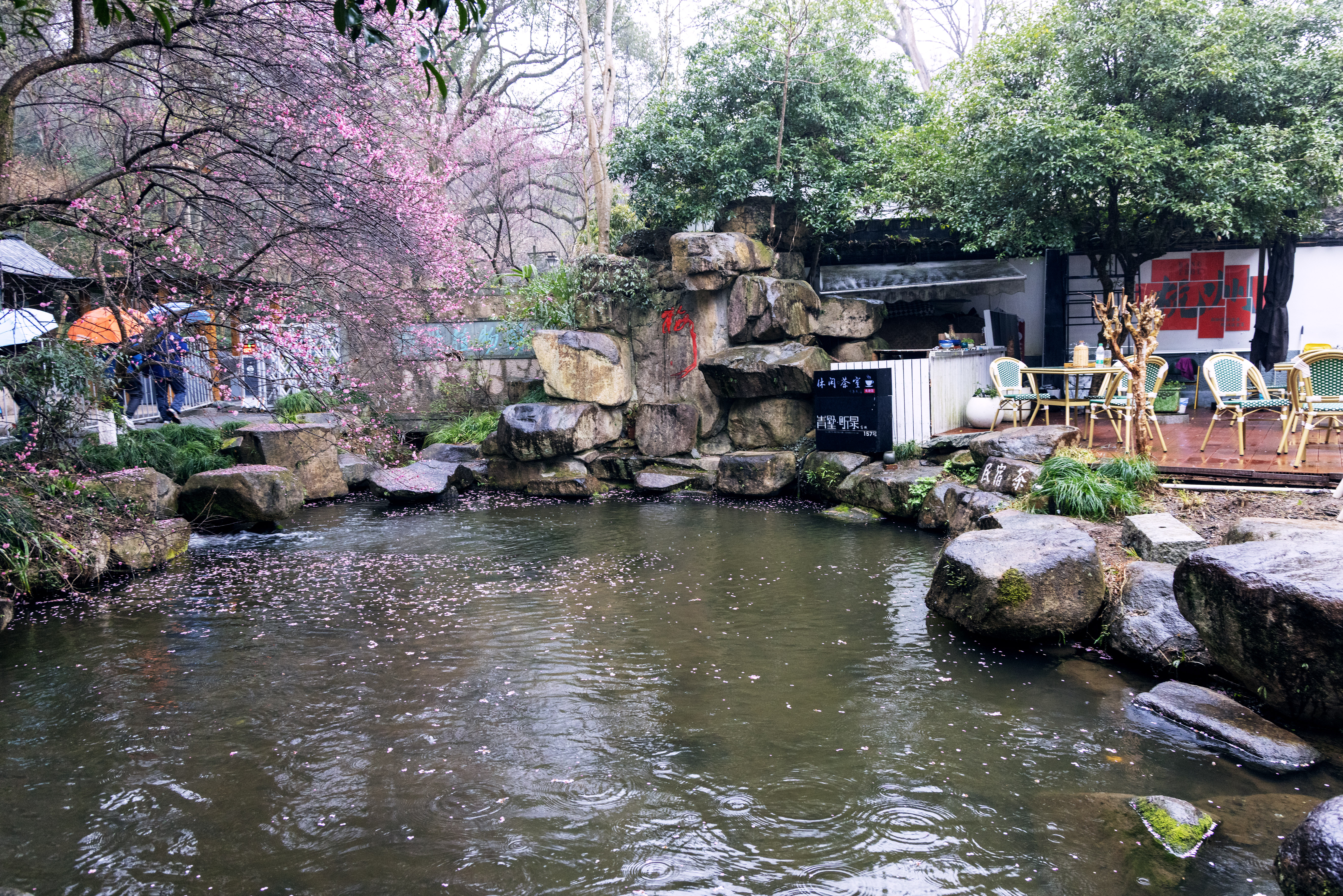 1Y3A0658 2《临水照花人》  作者  王振庆.jpg