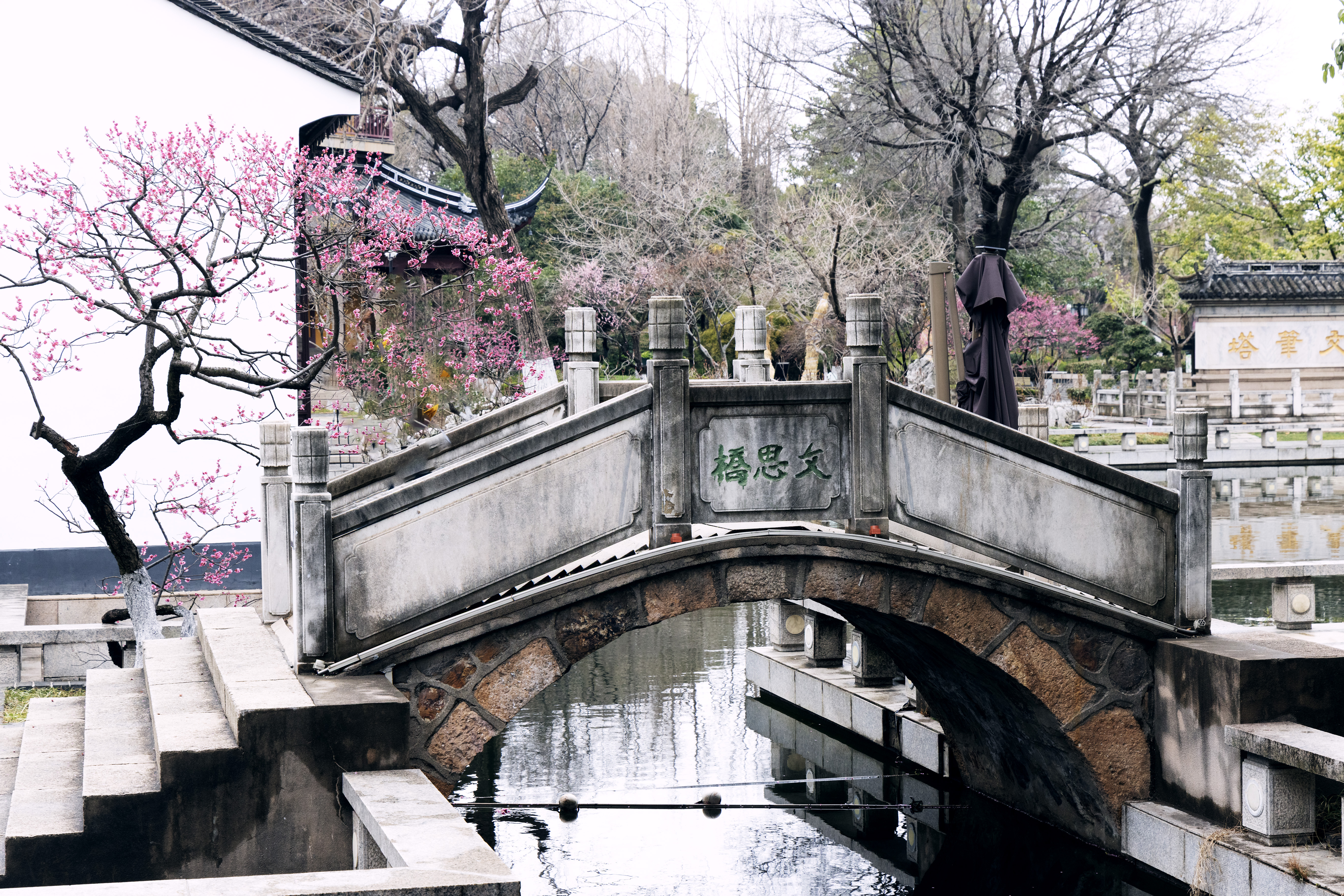 1Y3A0437 2 《古韵幽芳》 作者  王振庆.jpg