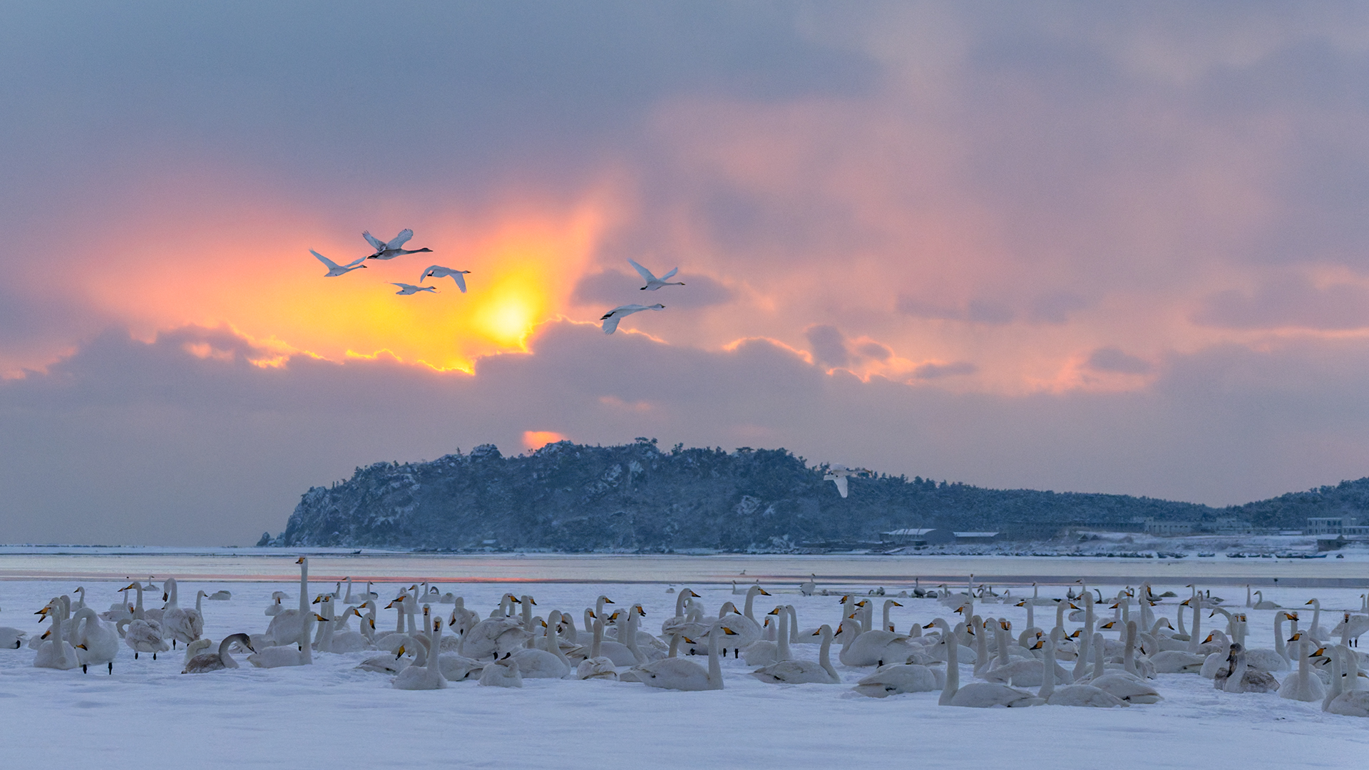 _DSC4091-DxO_DeepPRIME 3-1.jpg