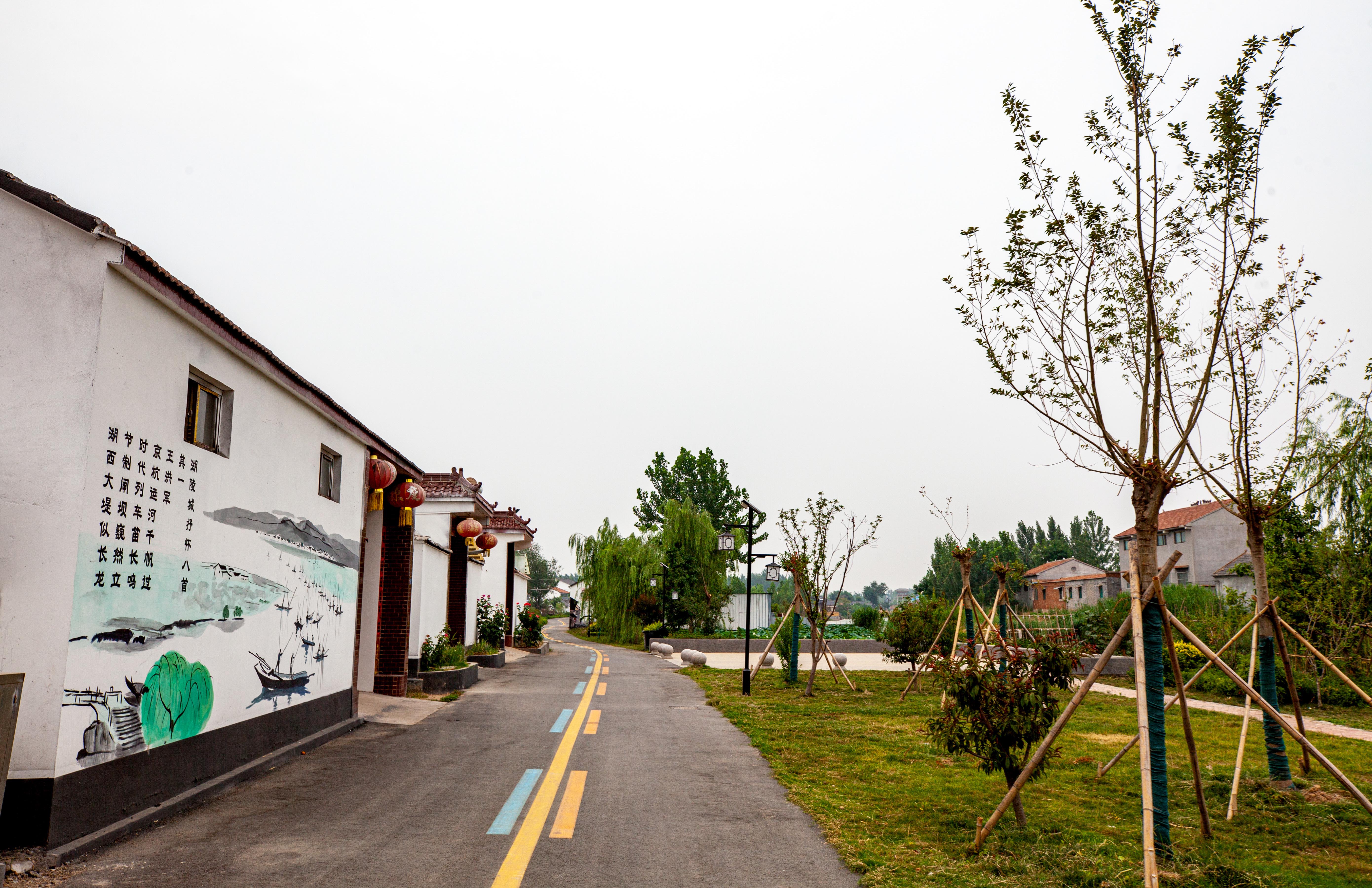 581、《乡径新颜》IMG_7972 ===.jpg