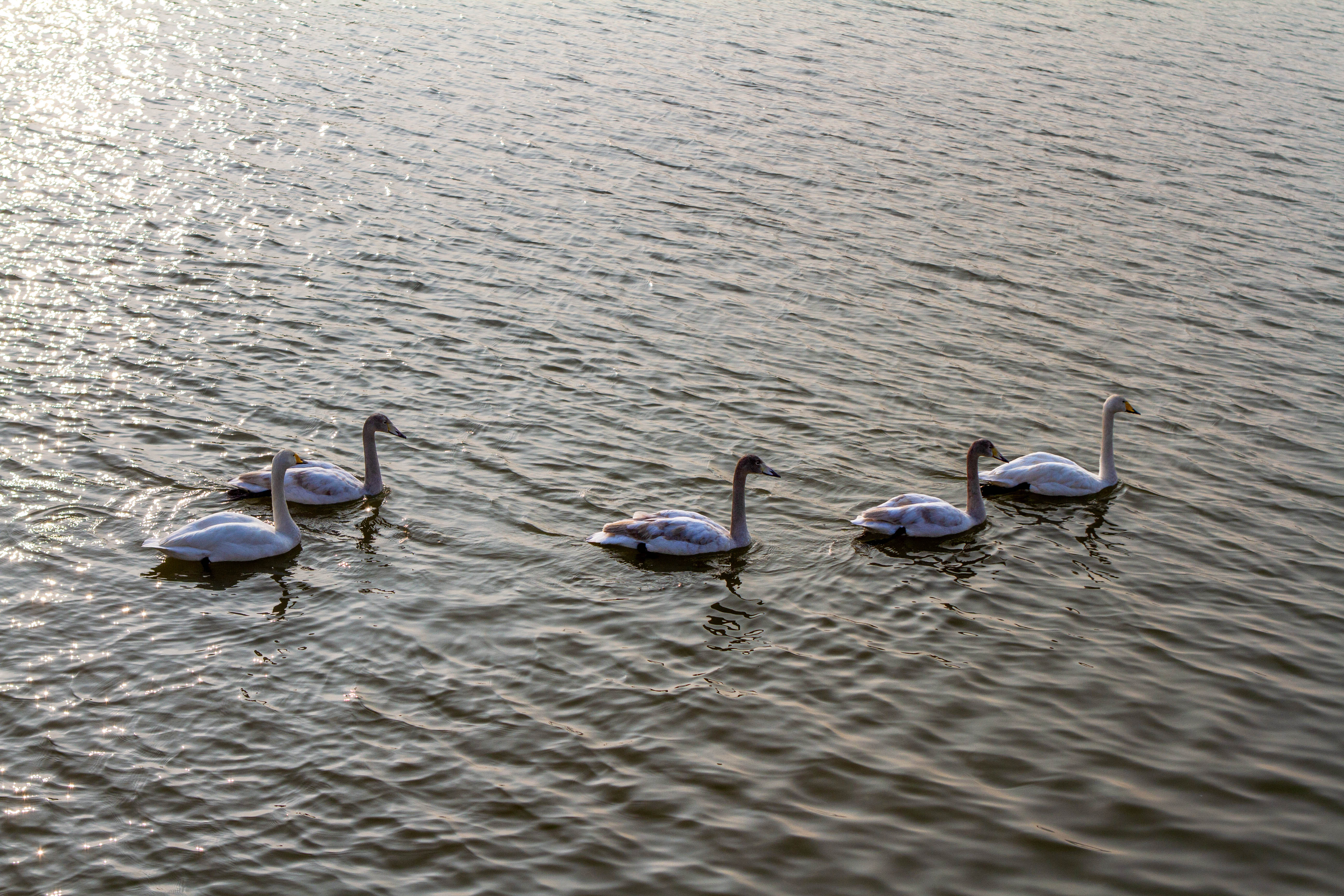 582、《晓波逐行》IMG_8217 拷贝.jpg