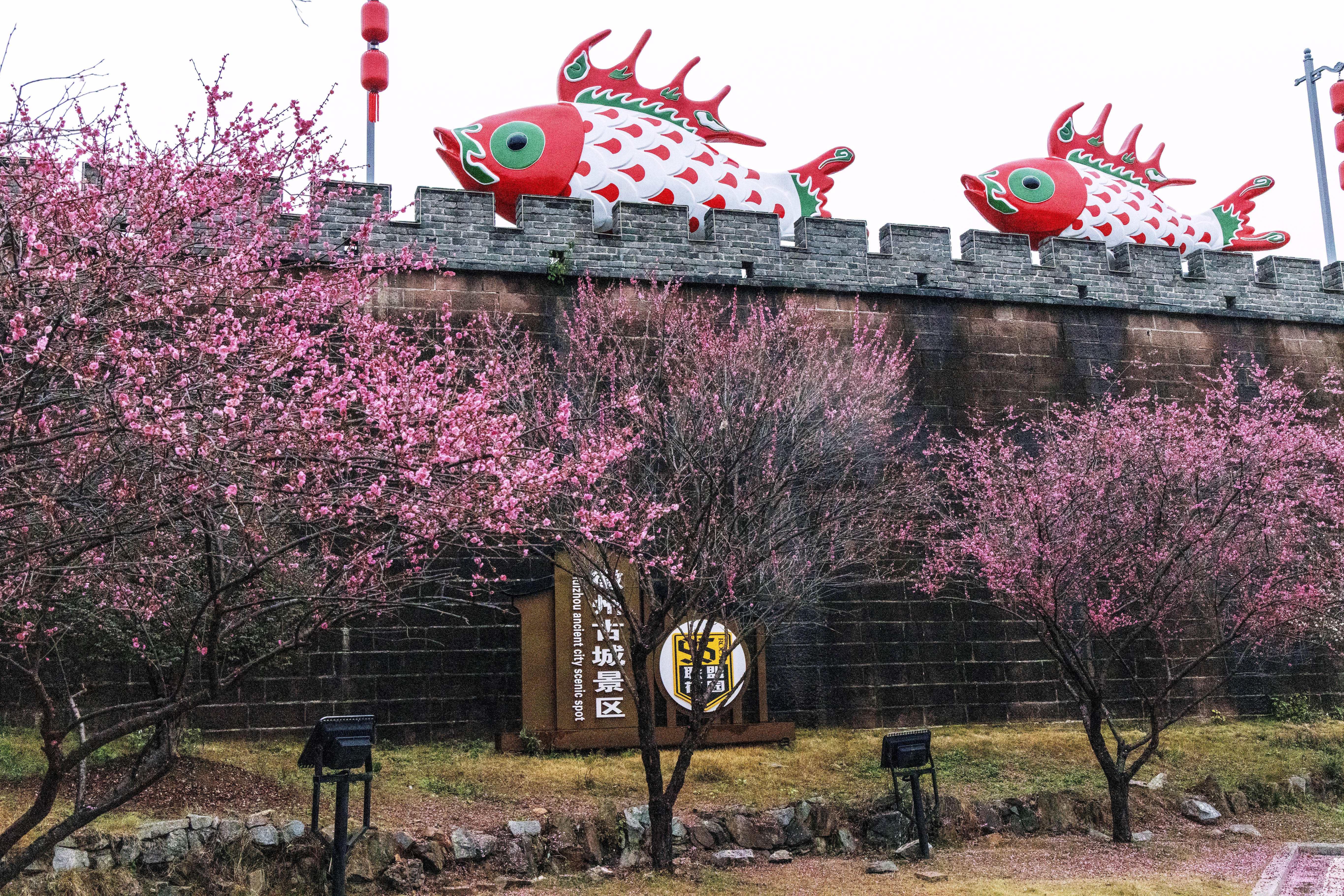 1Y3A0851 2 《梅花灯影里的徽州古城》  作者  王振庆.jpg