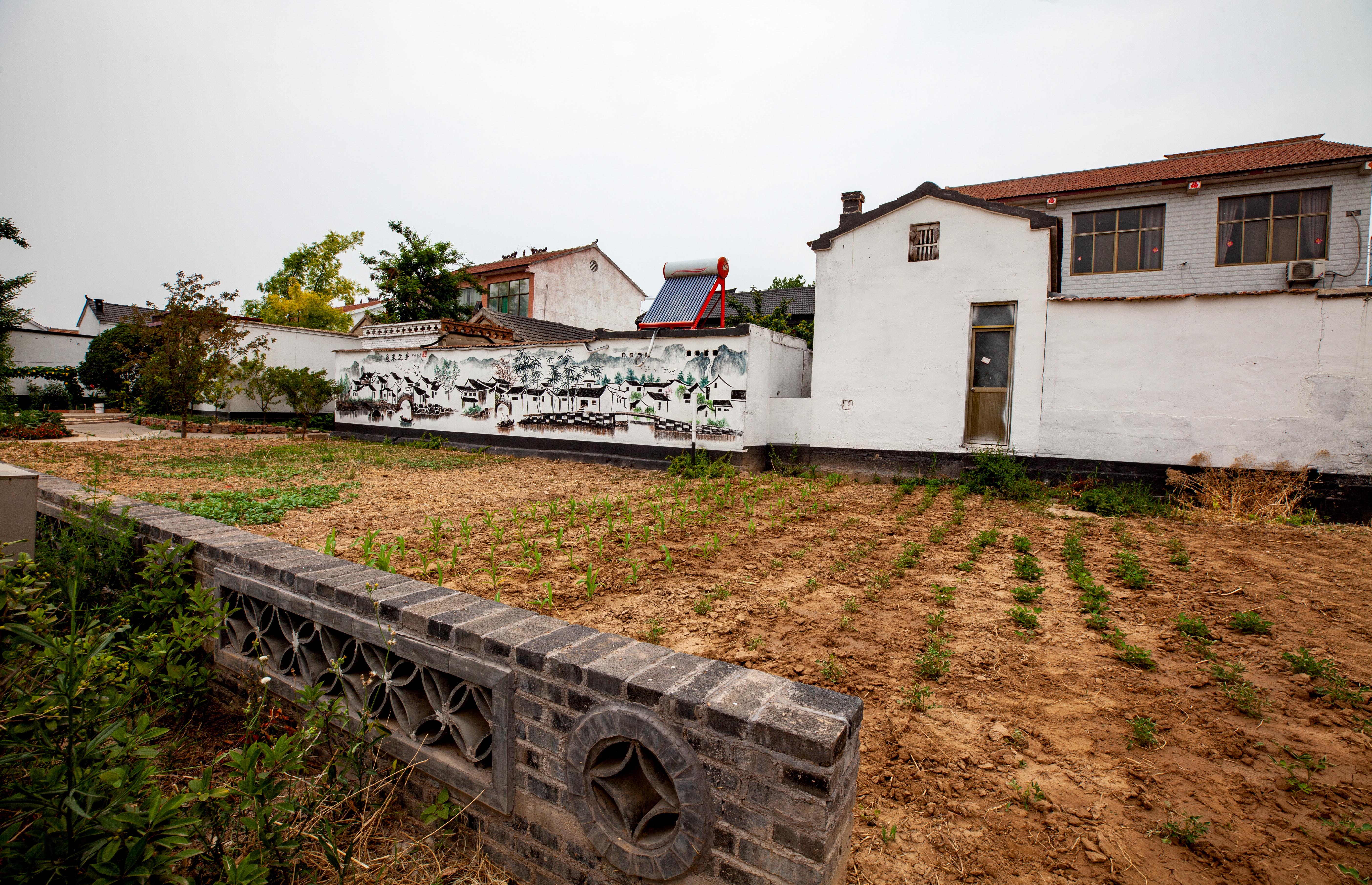 586、《田舍闲居》IMG_7964 ===.jpg