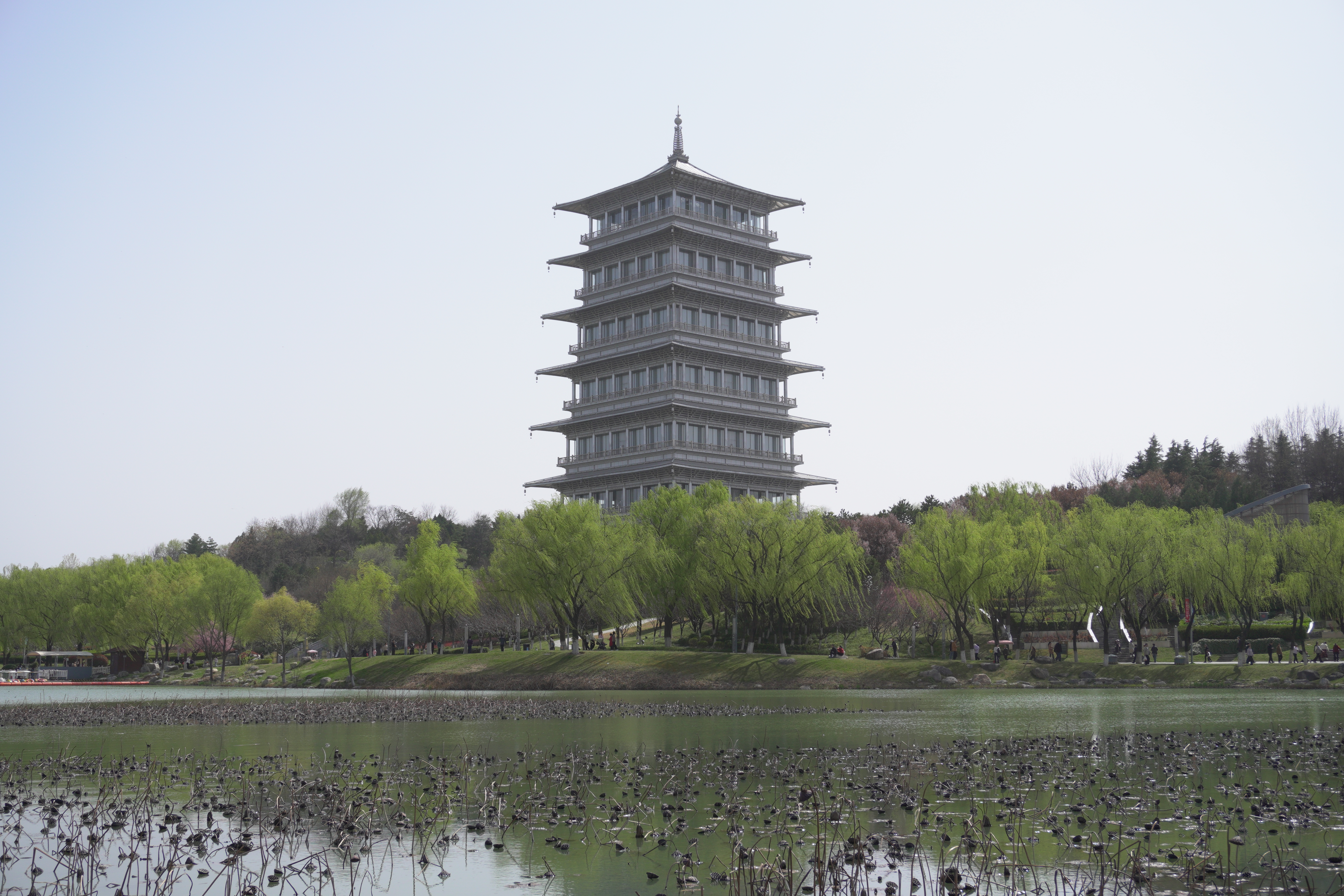 春日阳光，长安塔熠熠生辉