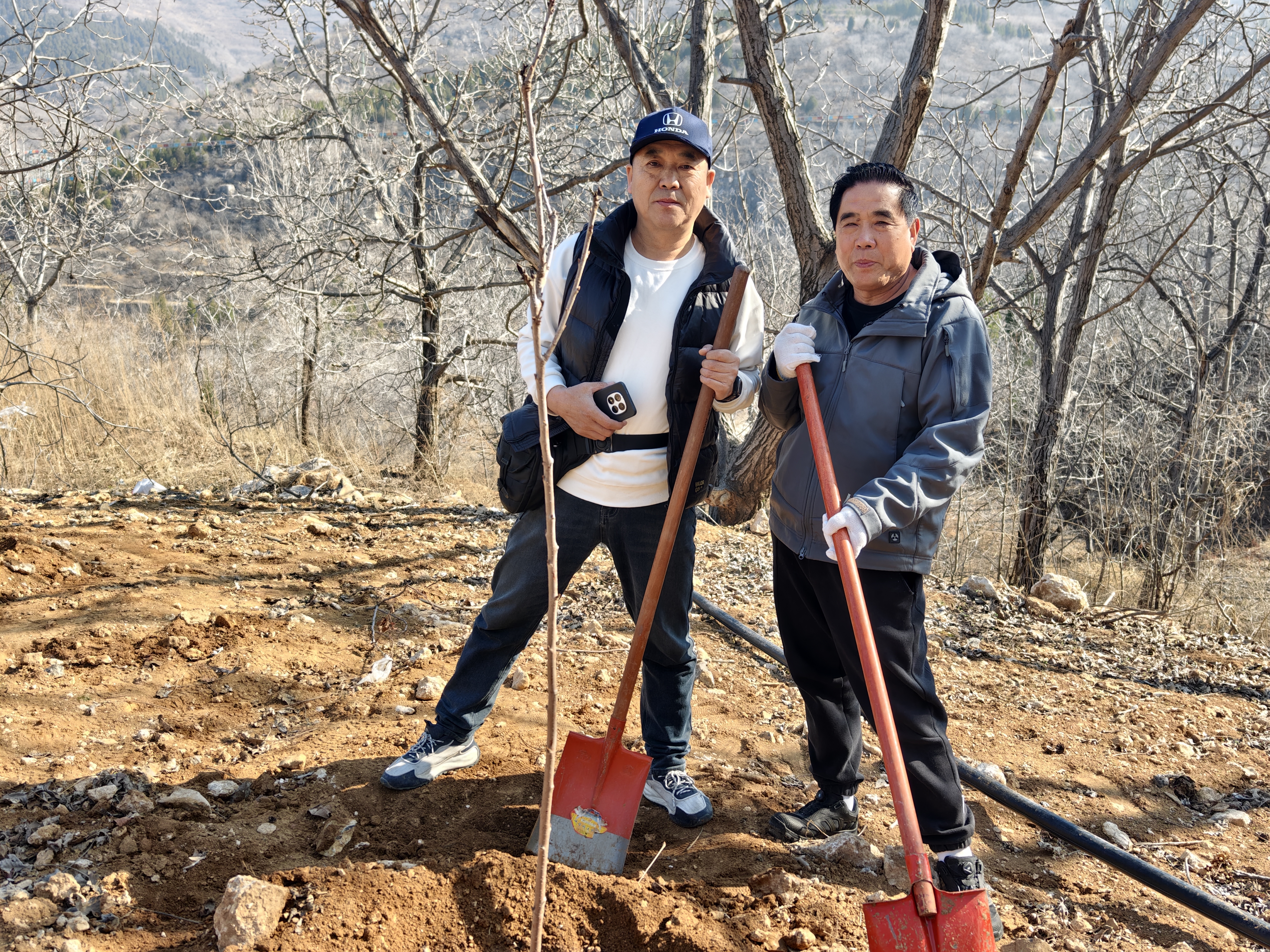 《植树造林·绿化山野》 陈文宽 13688617066 历城西营街道黄鹿泉村 2026年3月12日  (1).jpg