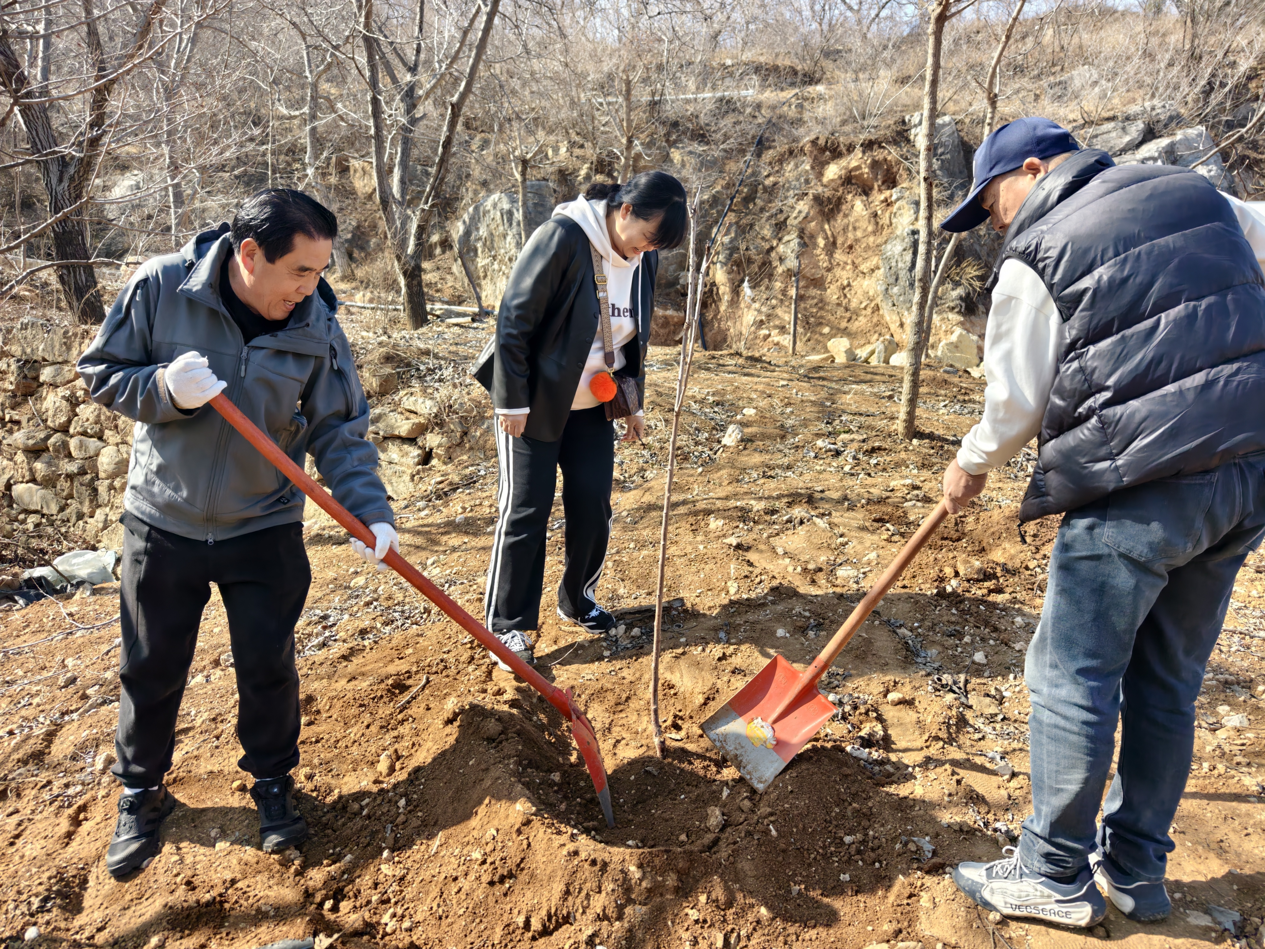 《植树造林·绿化山野》 陈文宽 13688617066 历城西营街道黄鹿泉村 2026年3月12日  (4).jpg