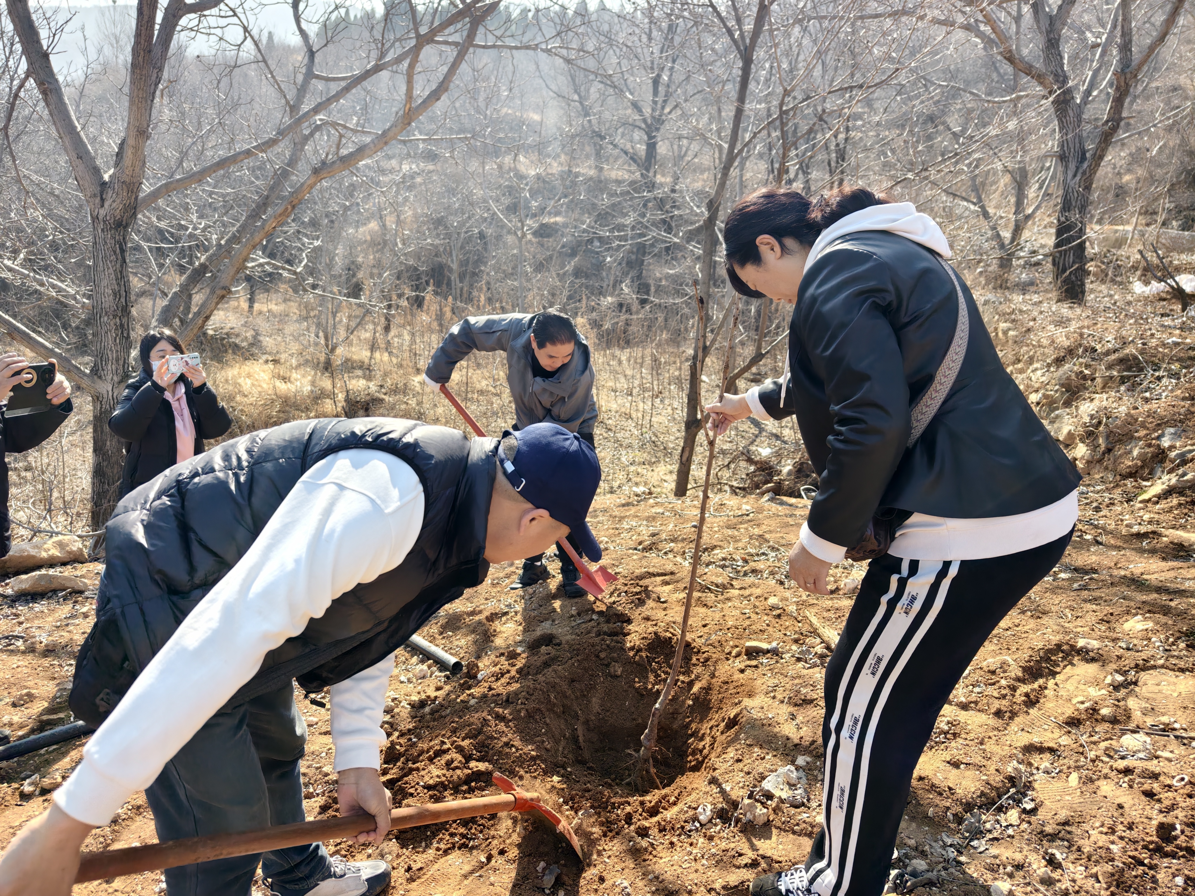 《植树造林·绿化山野》 陈文宽 13688617066 历城西营街道黄鹿泉村 2026年3月12日  (5).jpg