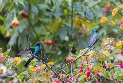 我和你说话呐？