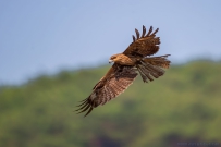 [原创]新周吉祥