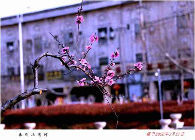 春到城河边——8