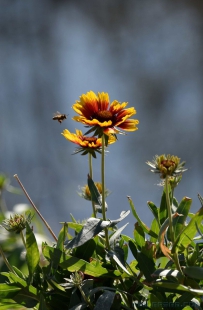[原创]忙过春夏忙冬秋