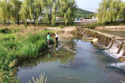有鱼没鱼撒一网
