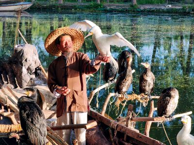 鱼鹰传人吕高艳