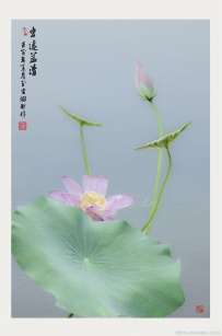 [原创]《香远益清》