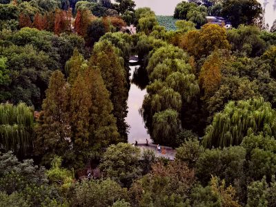 初秋的明湖（3）